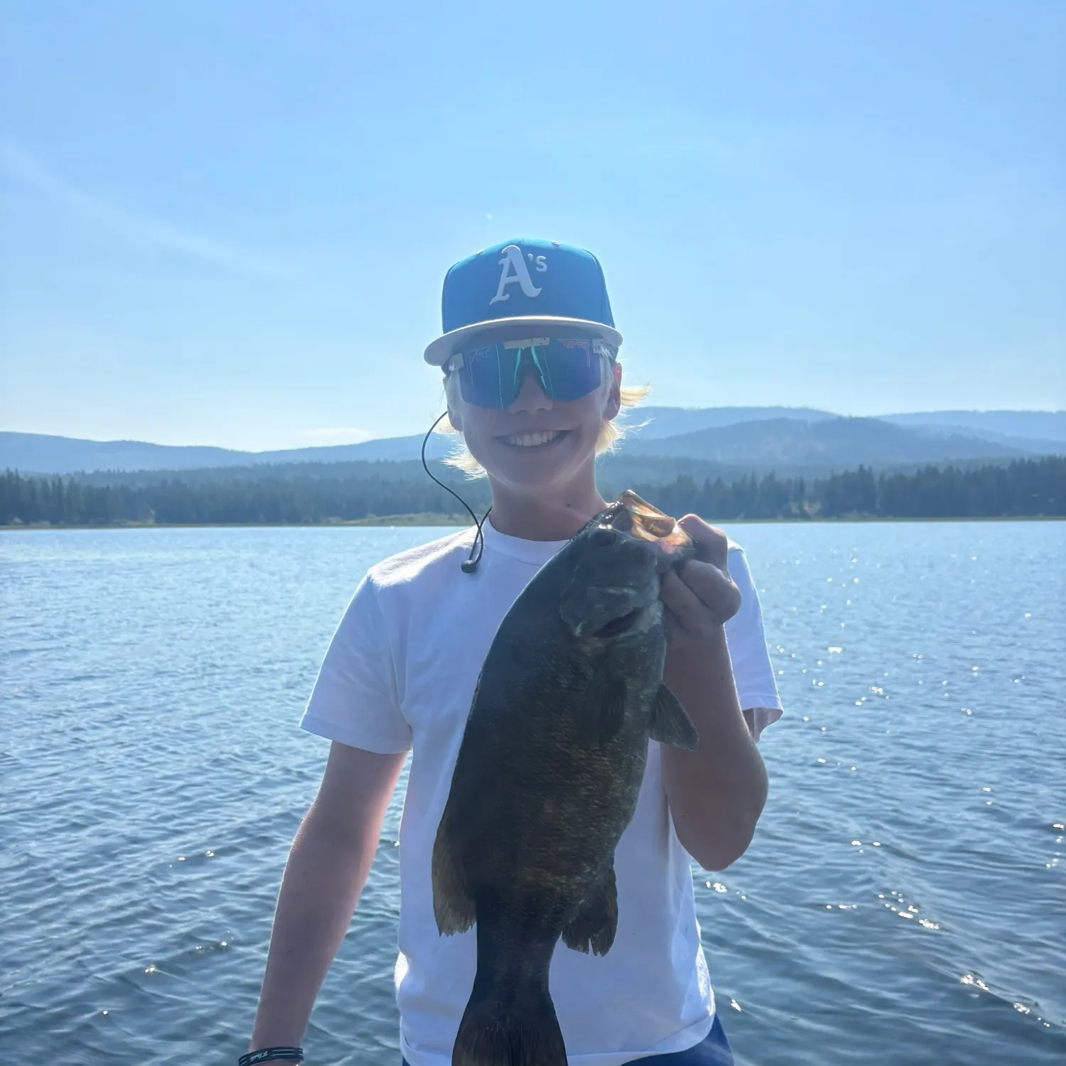 Smallmouth bass caught on Fishbrain
