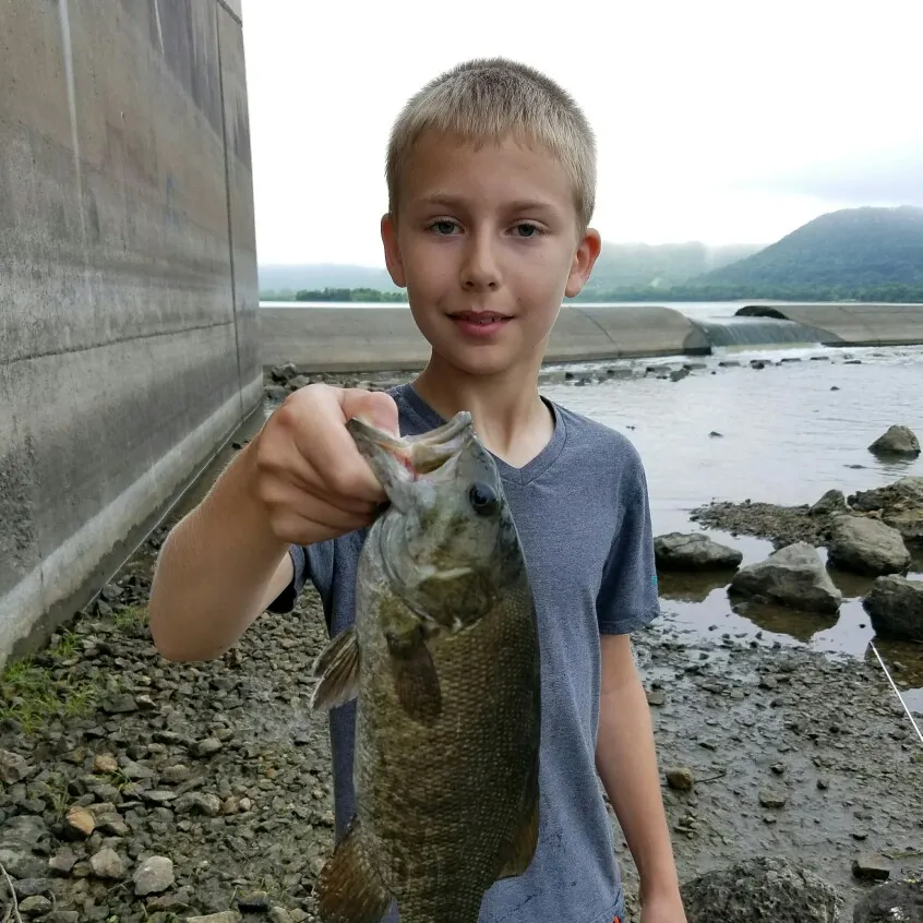 Smallmouth bass caught on Fishbrain