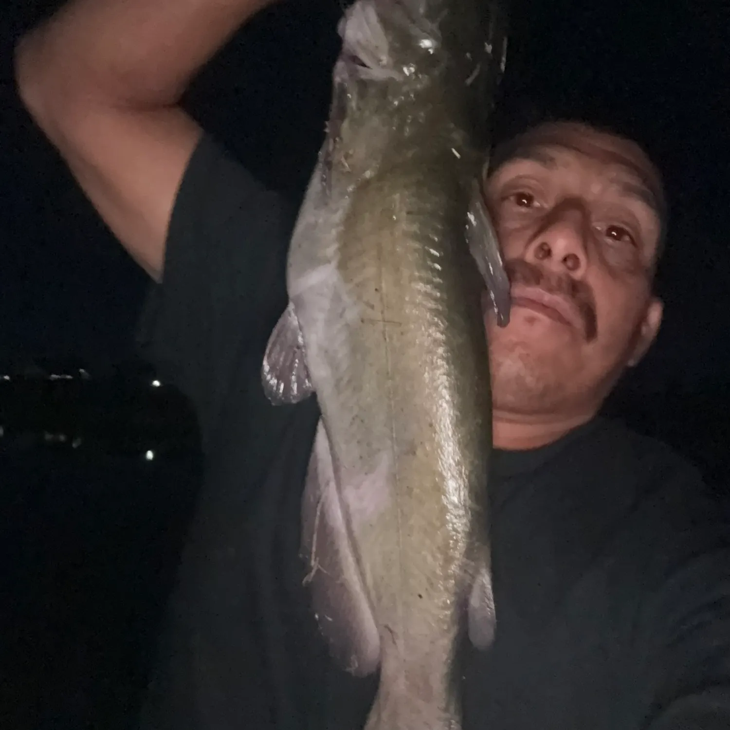 Channel catfish caught on Fishbrain