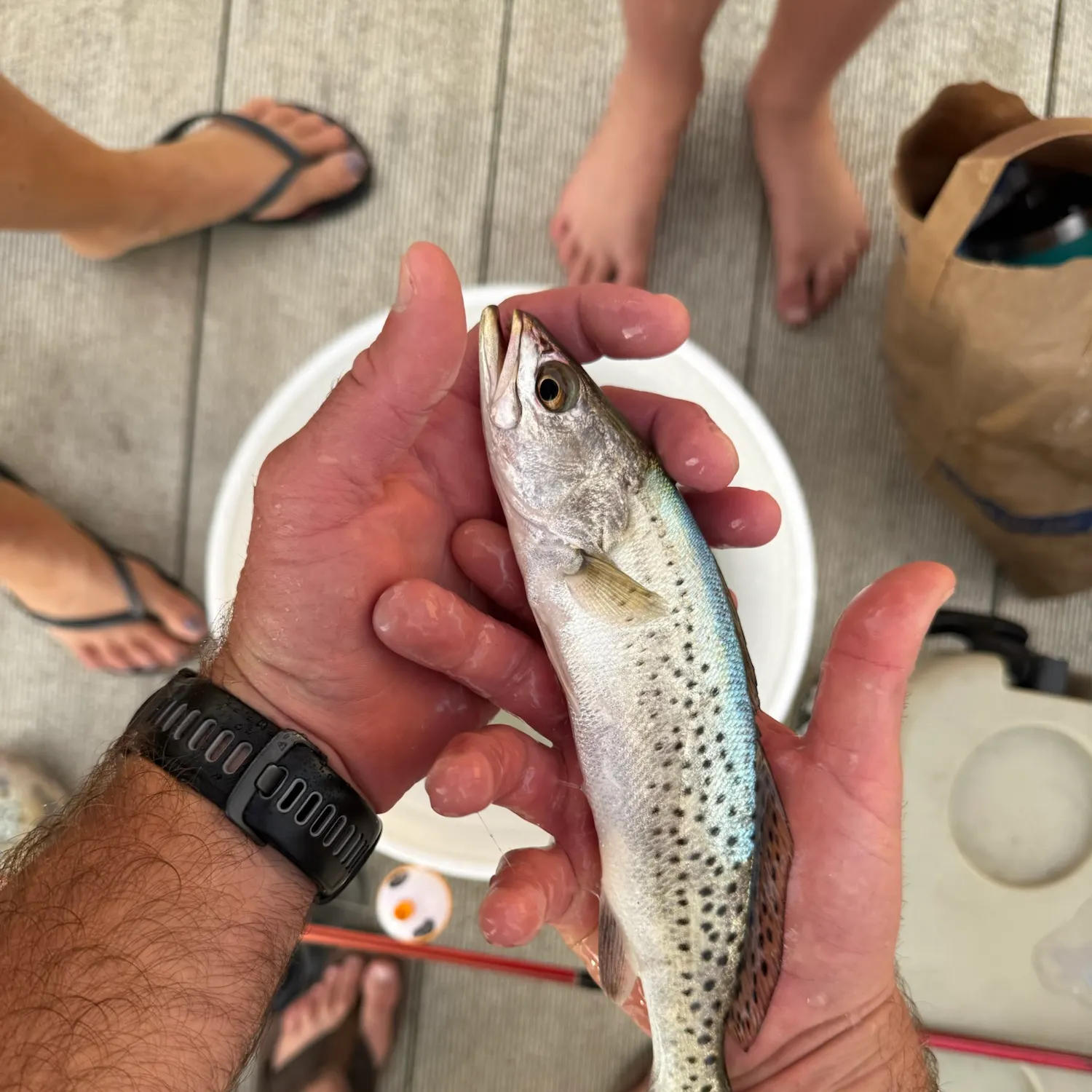 catch
