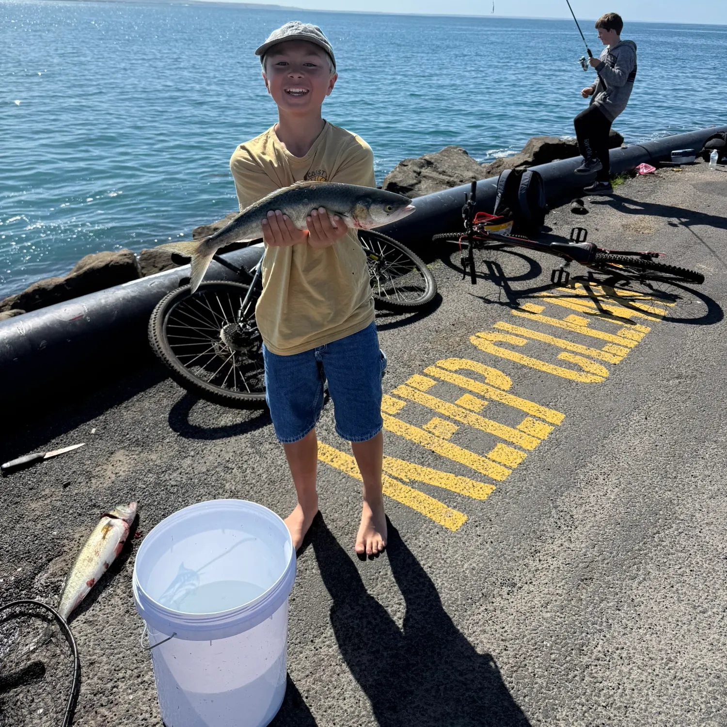 Eastern Australian salmon caught on Fishbrain