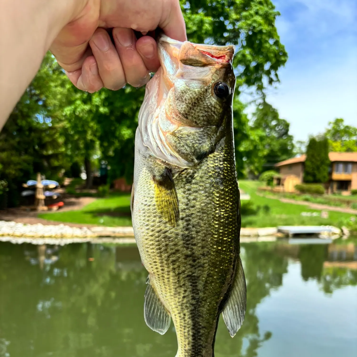 catch