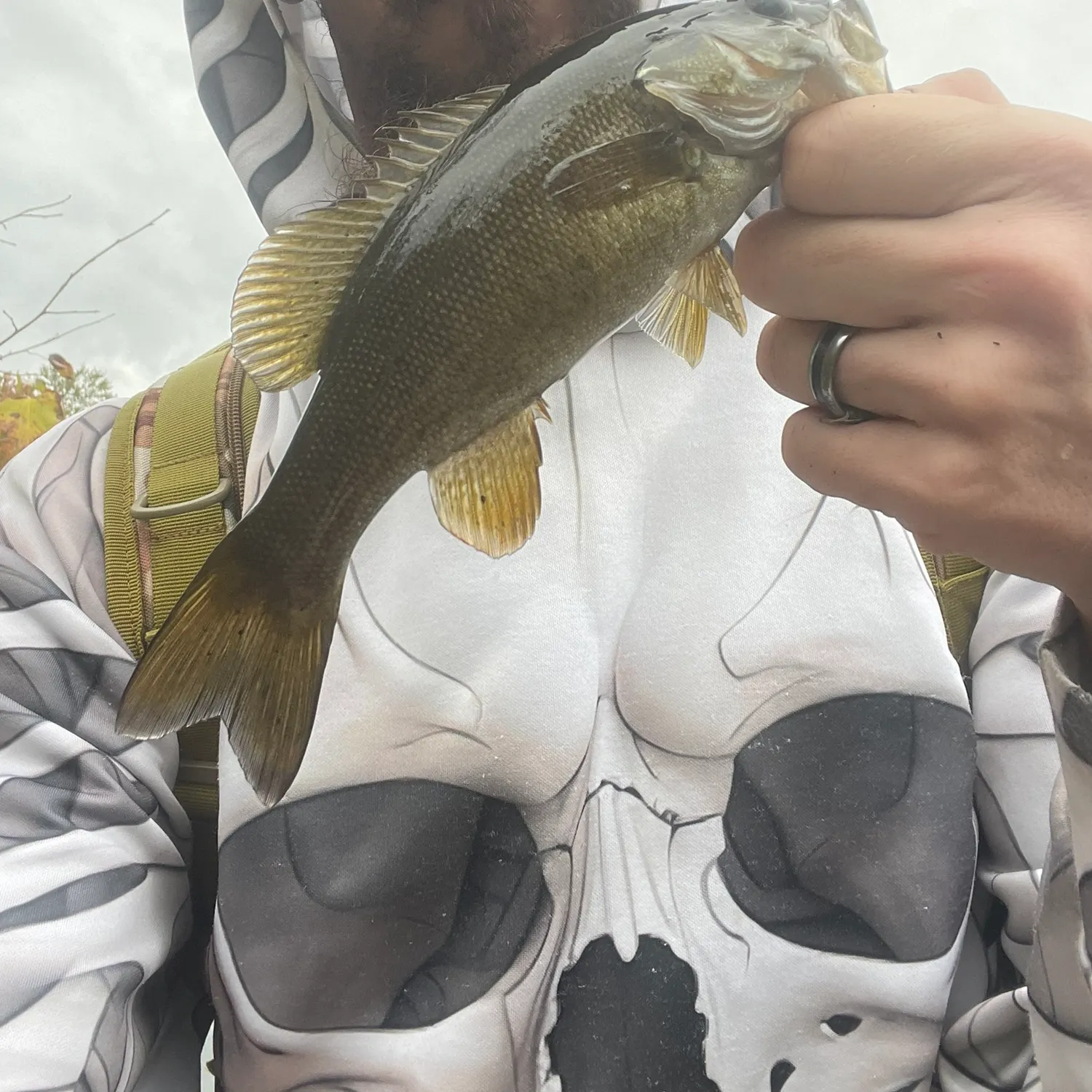Smallmouth bass caught on Fishbrain