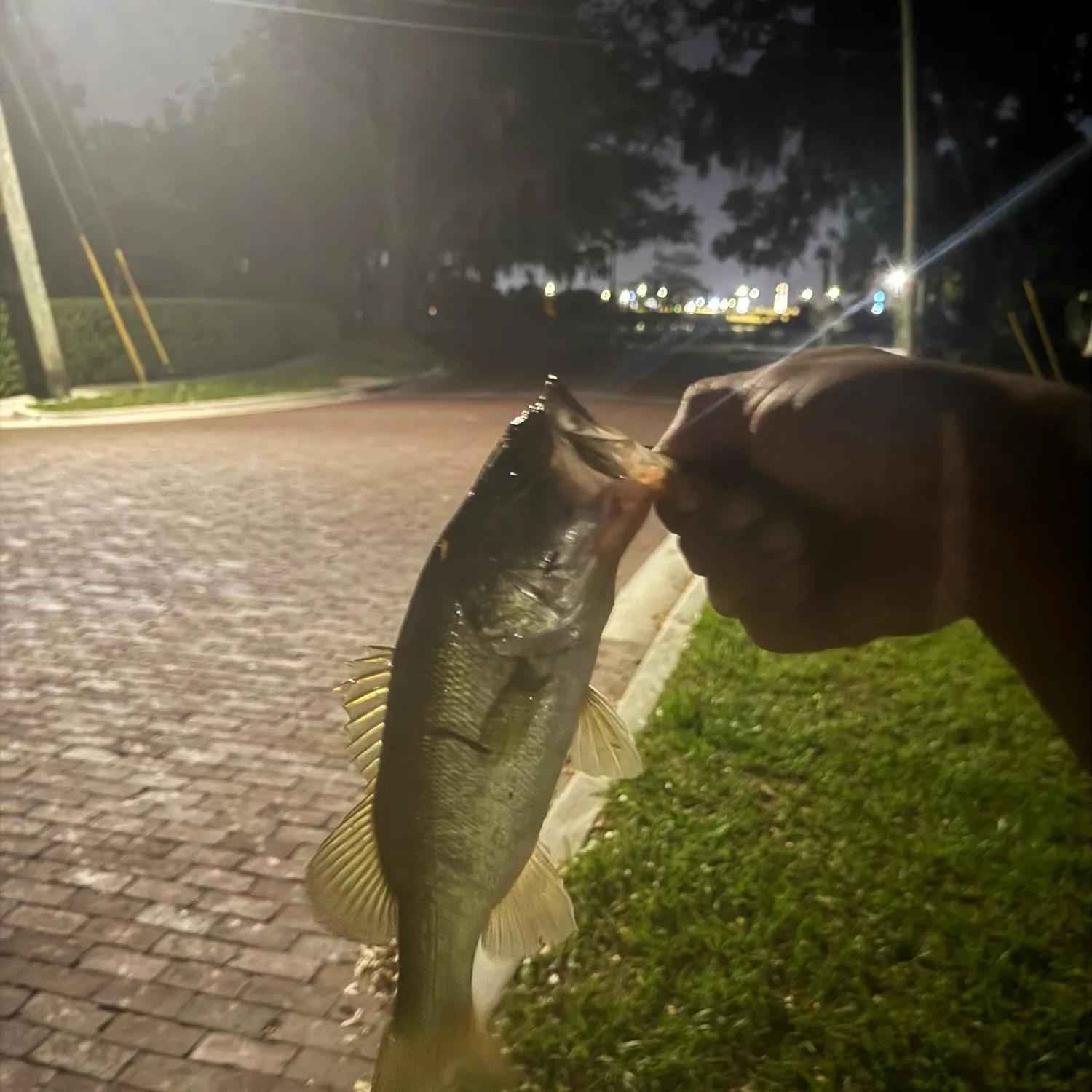 catch