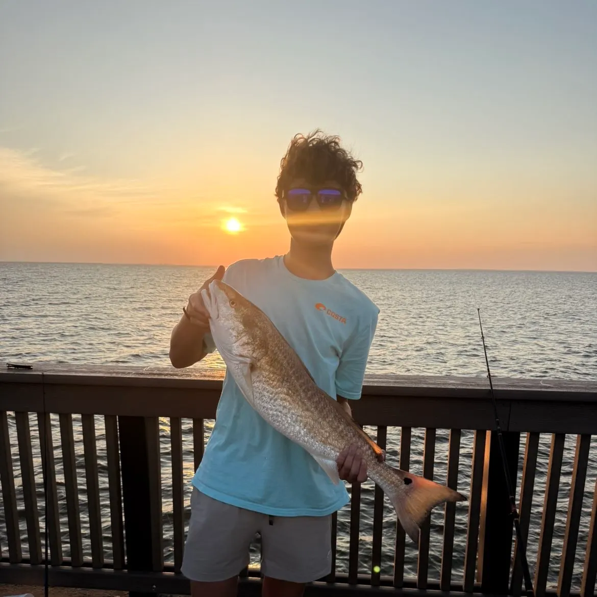 Red drum caught on Fishbrain