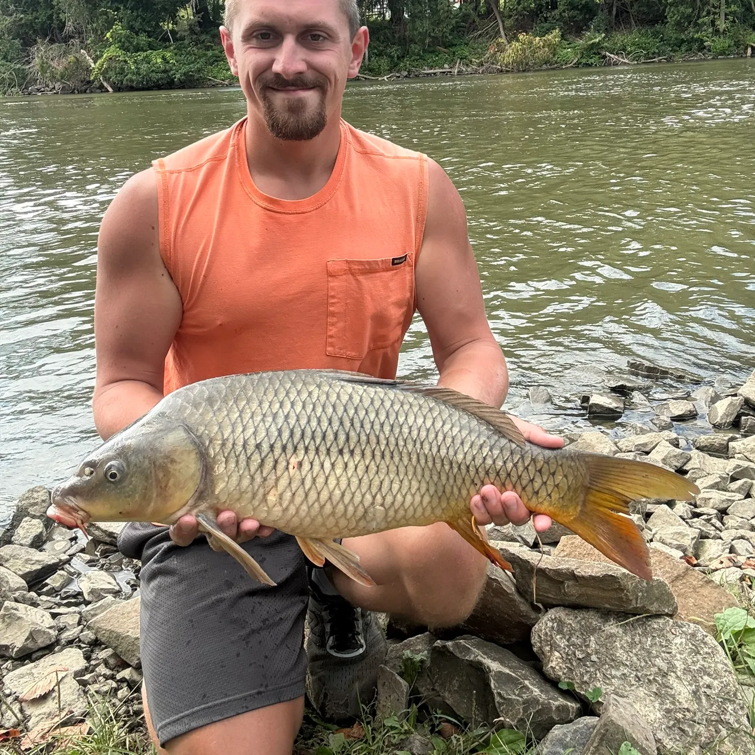 Common carp caught on Fishbrain
