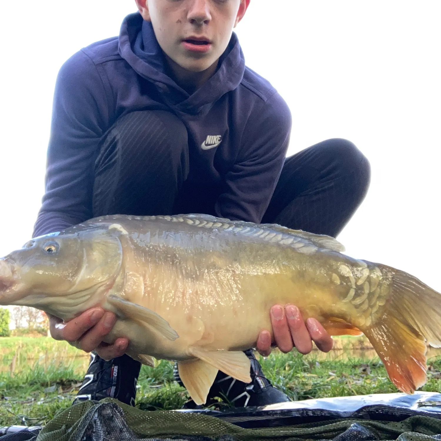 The most recent Mirror carp catches on Fishbrain