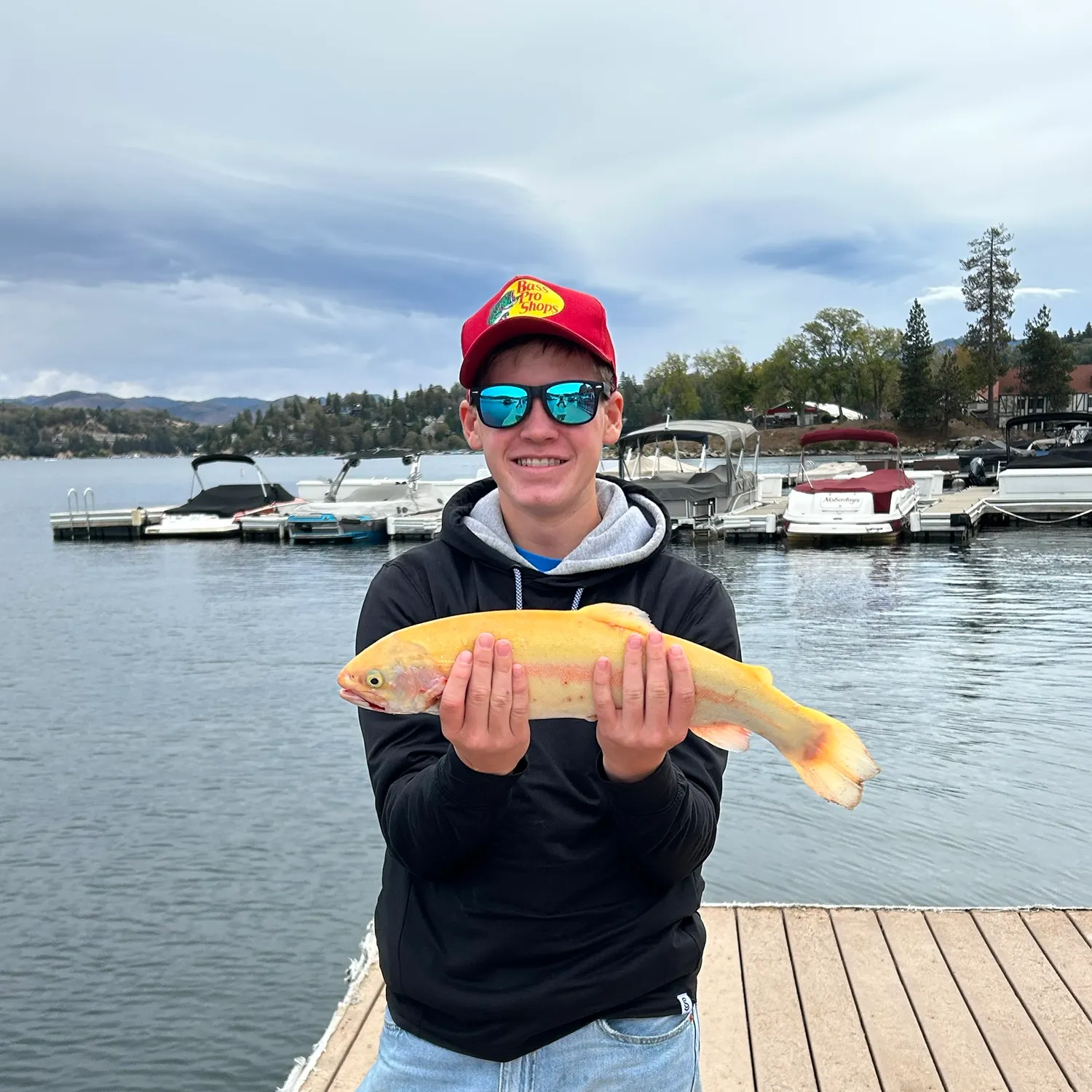 Golden rainbow trout caught on Fishbrain