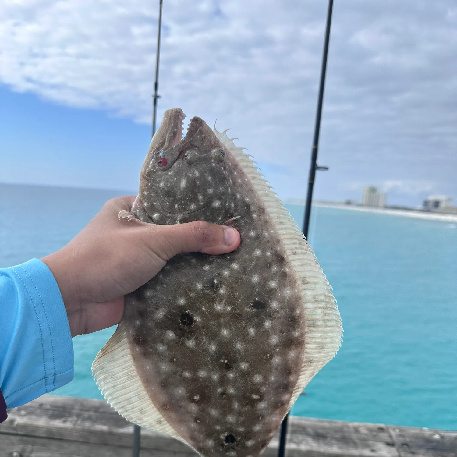 The most recent Summer flounder catches on Fishbrain