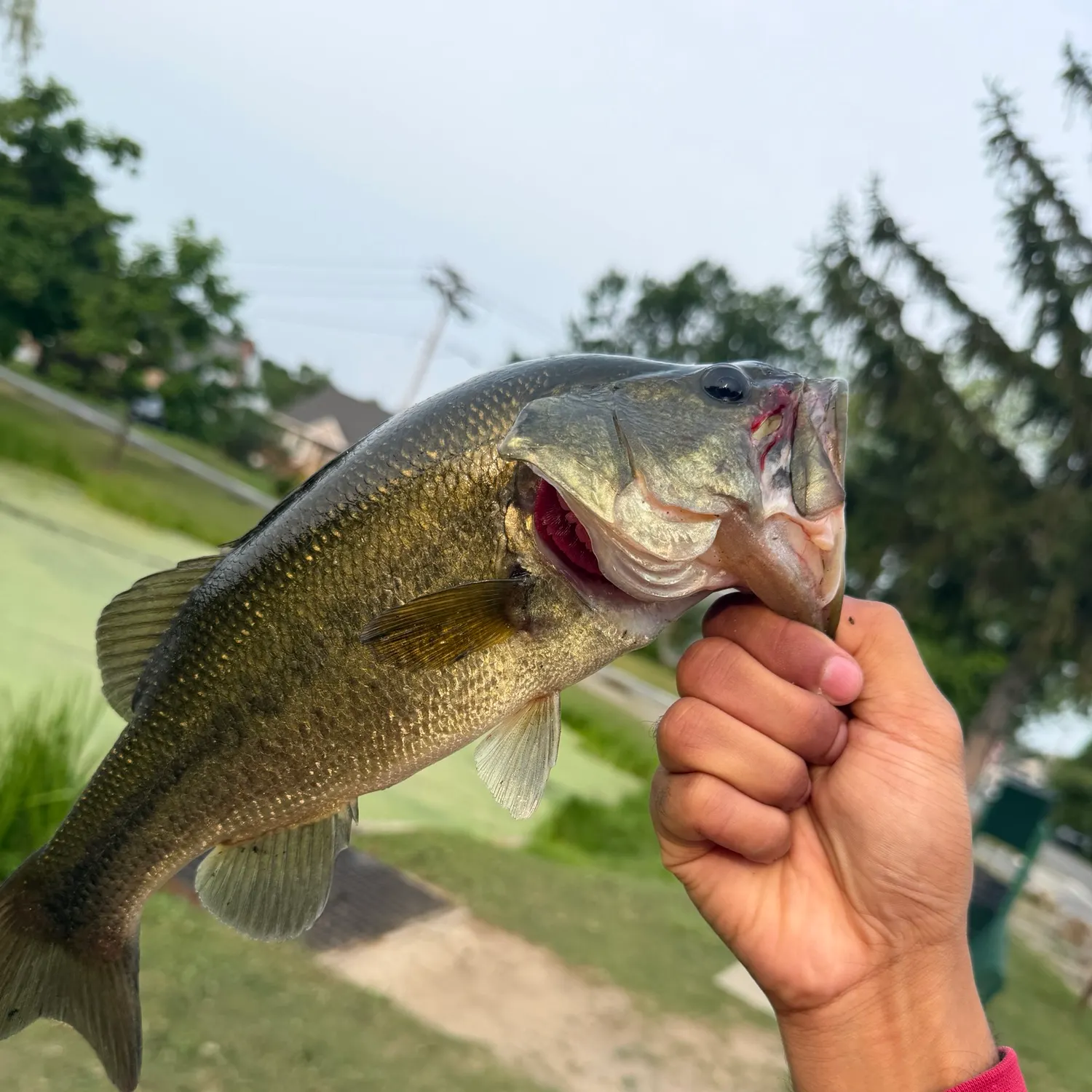 catch