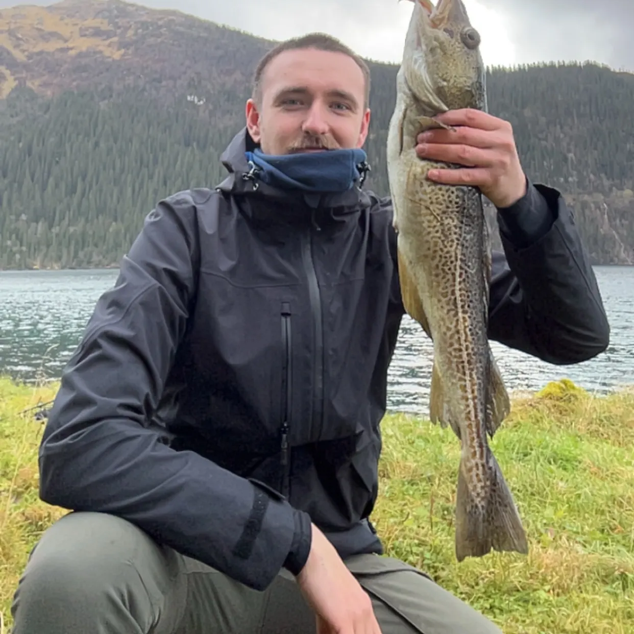 Atlantic cod caught on Fishbrain