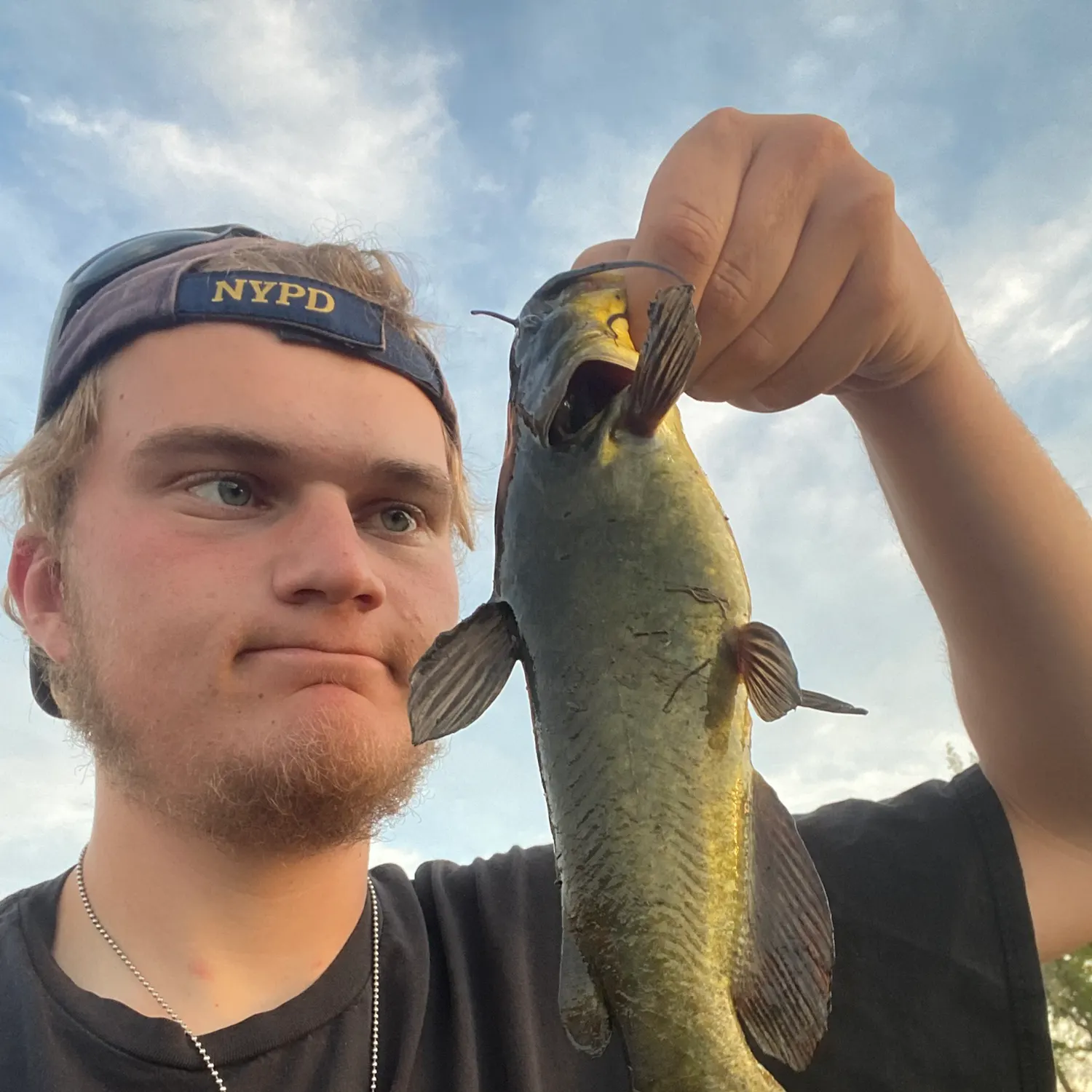 Channel catfish caught on Fishbrain