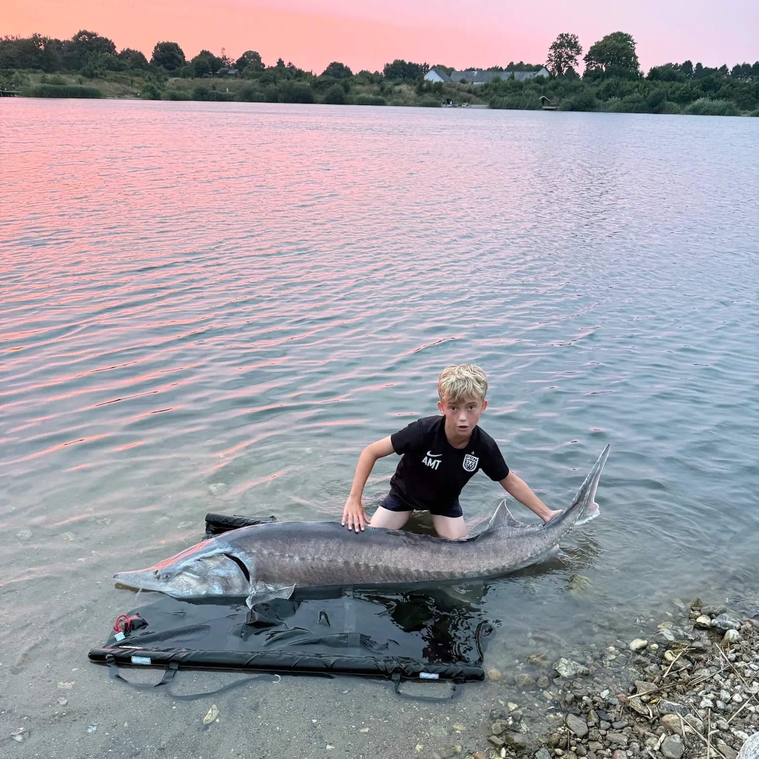 The most recent Beluga sturgeon catches on Fishbrain