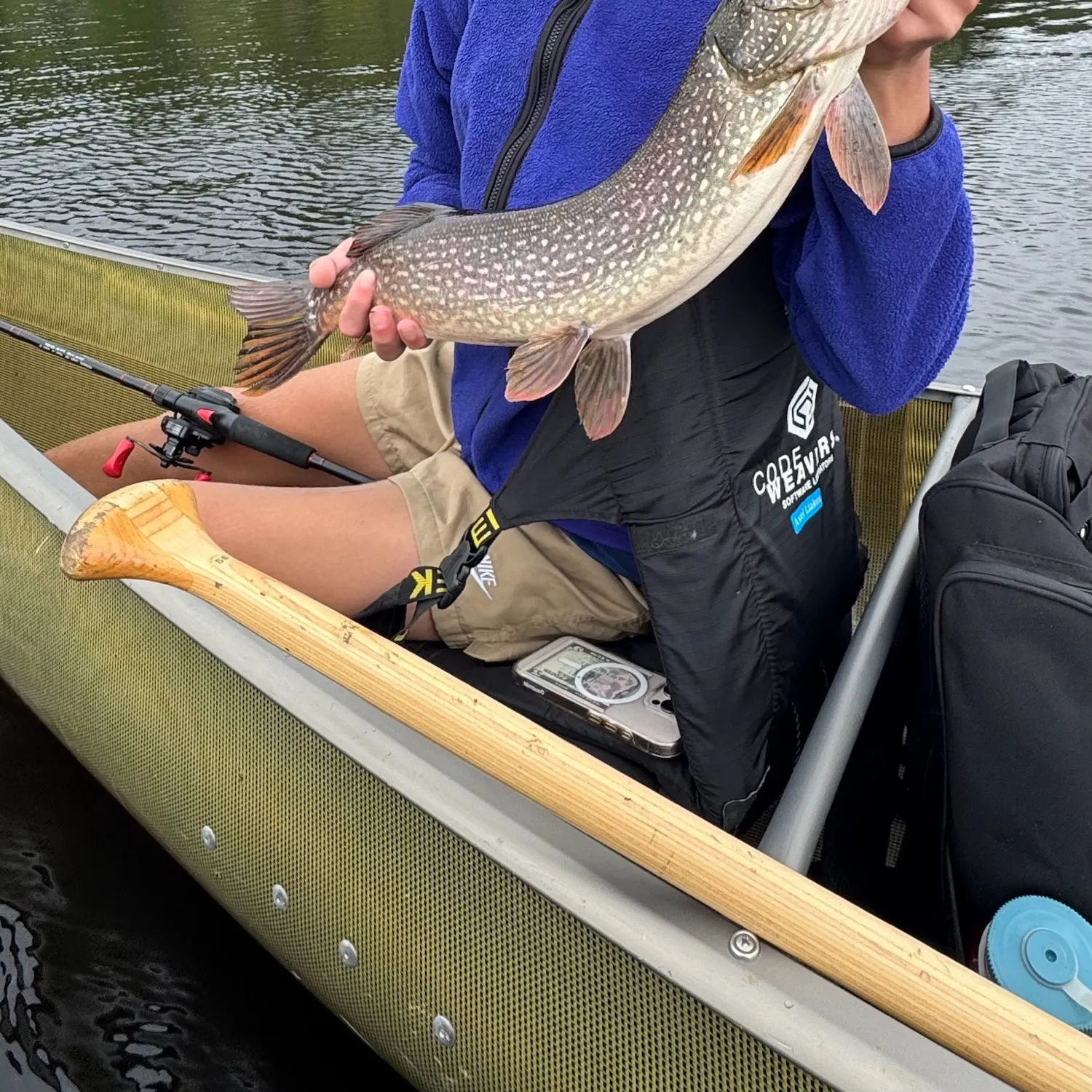 Northern pike caught on Fishbrain
