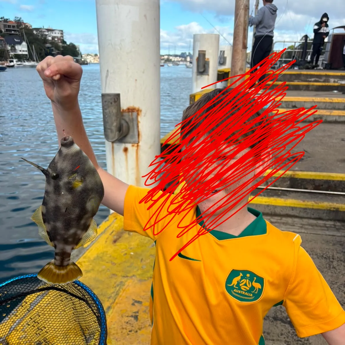 The most recent Yellowfin leatherjacket catches on Fishbrain