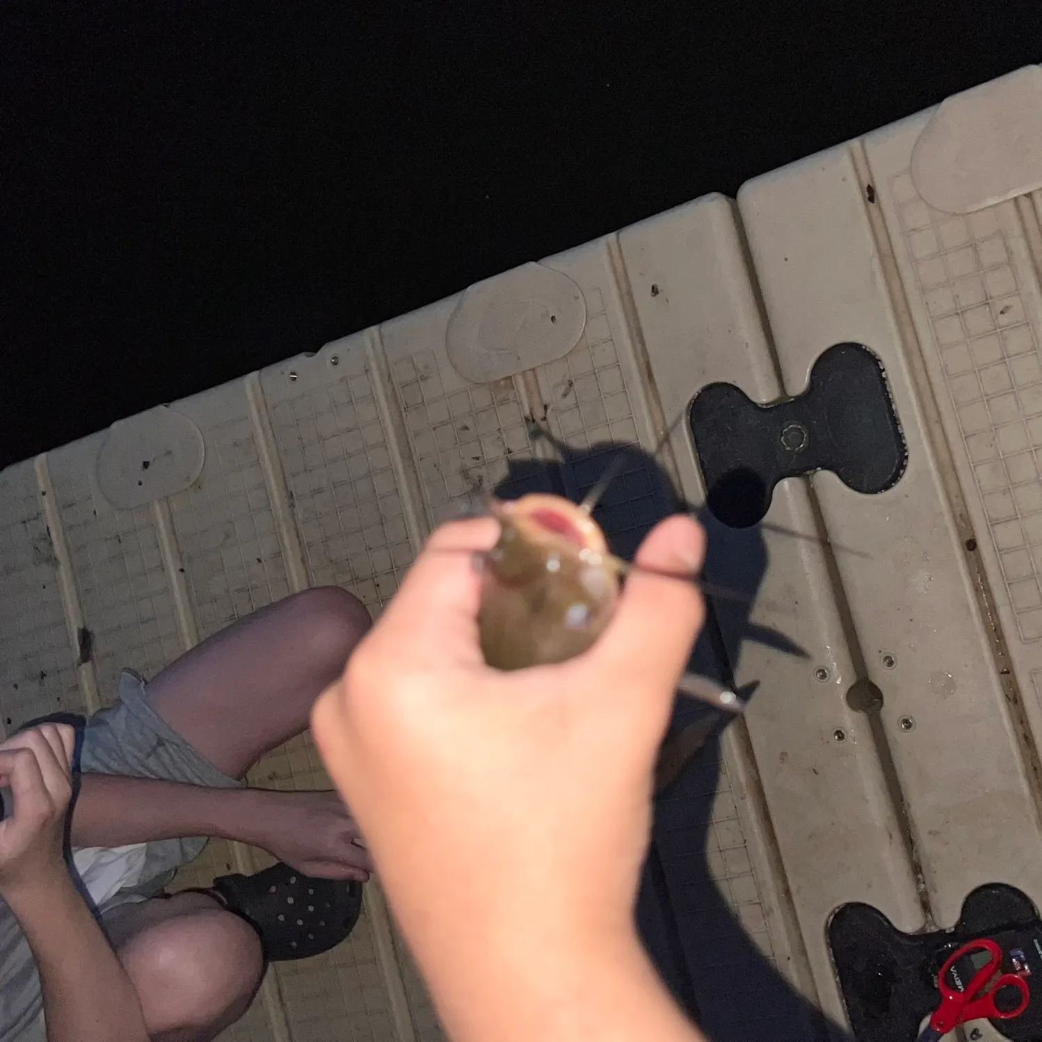 Black bullhead caught on Fishbrain
