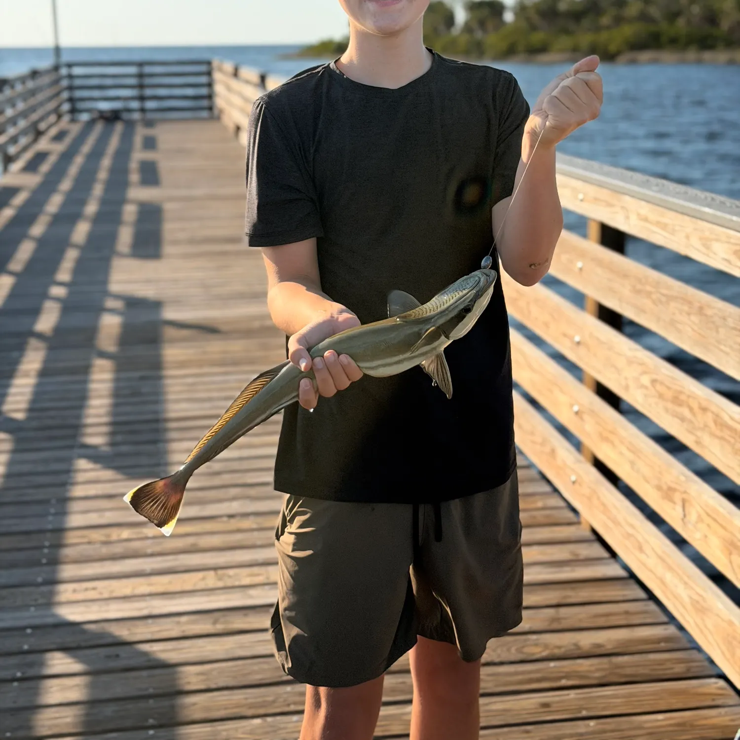 The most recent Common remora catches on Fishbrain