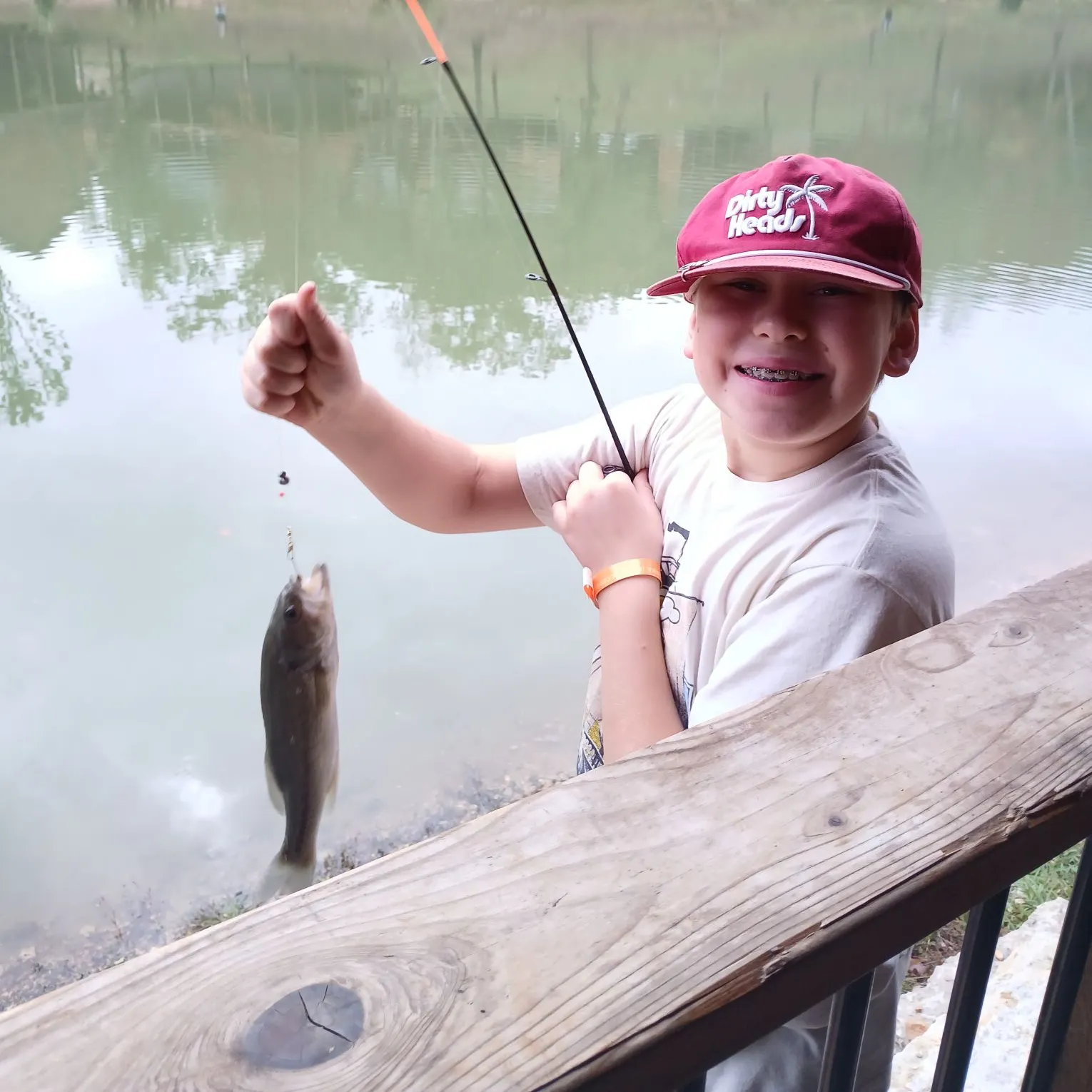 Smallmouth bass caught on Fishbrain