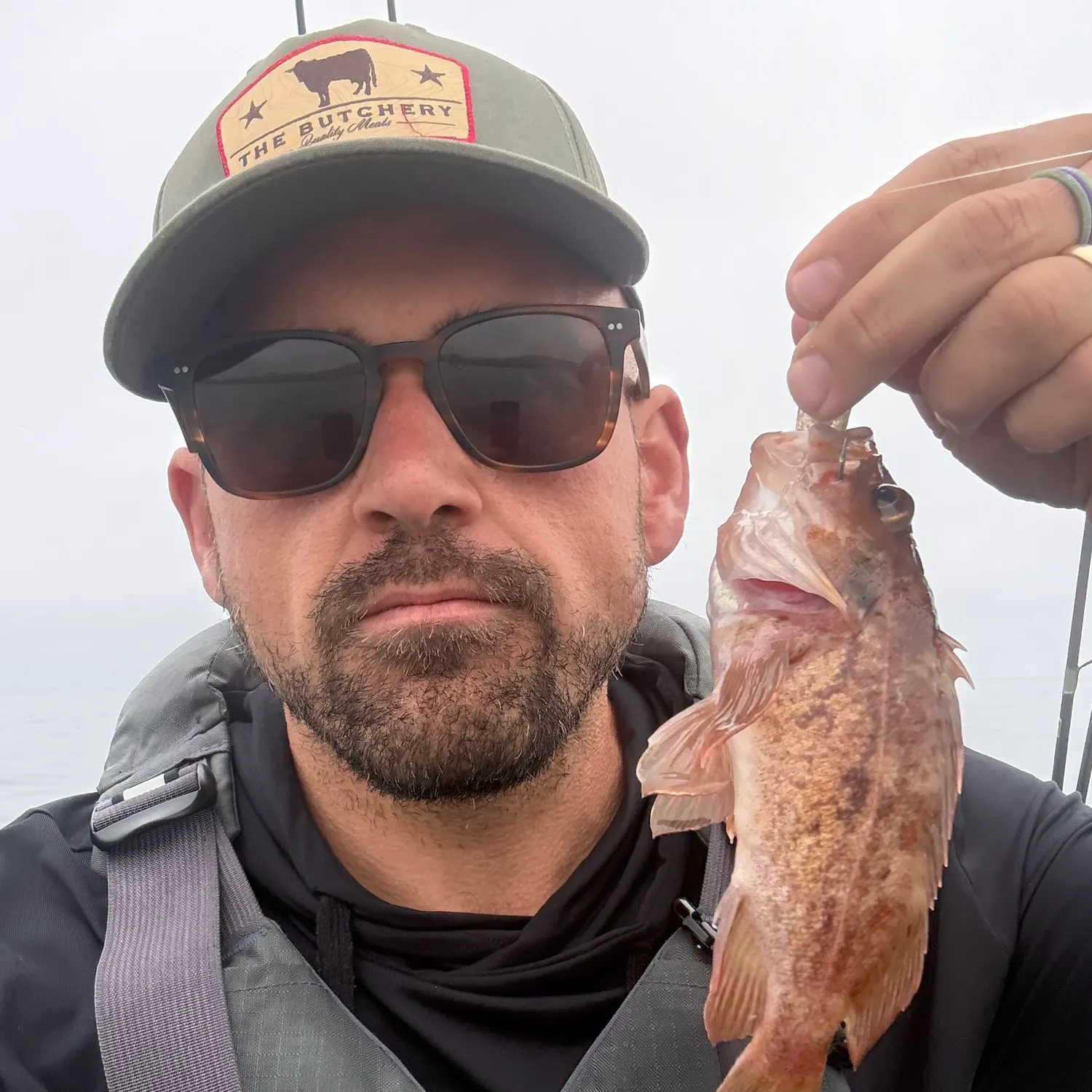 The most recent Copper rockfish catches on Fishbrain