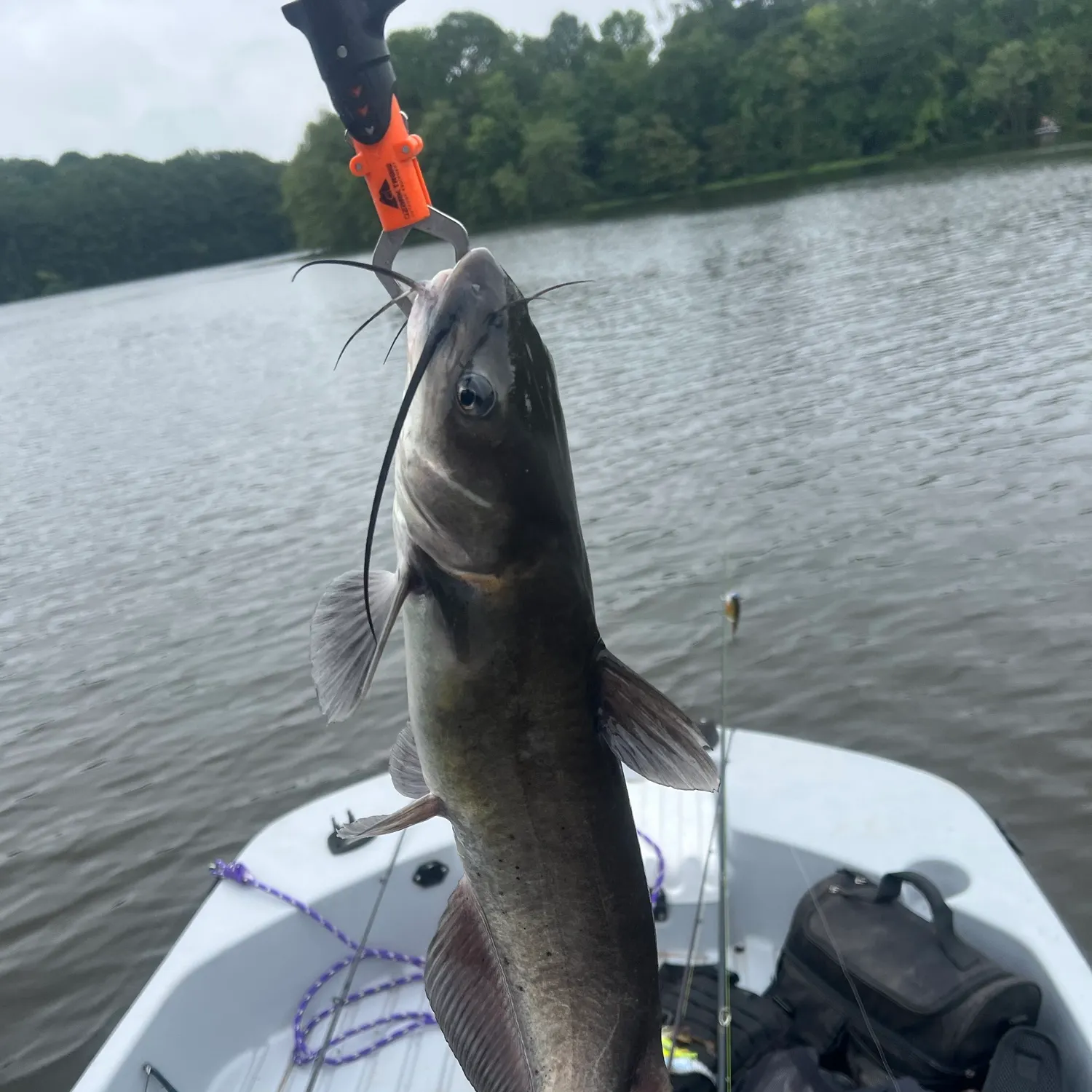 catch