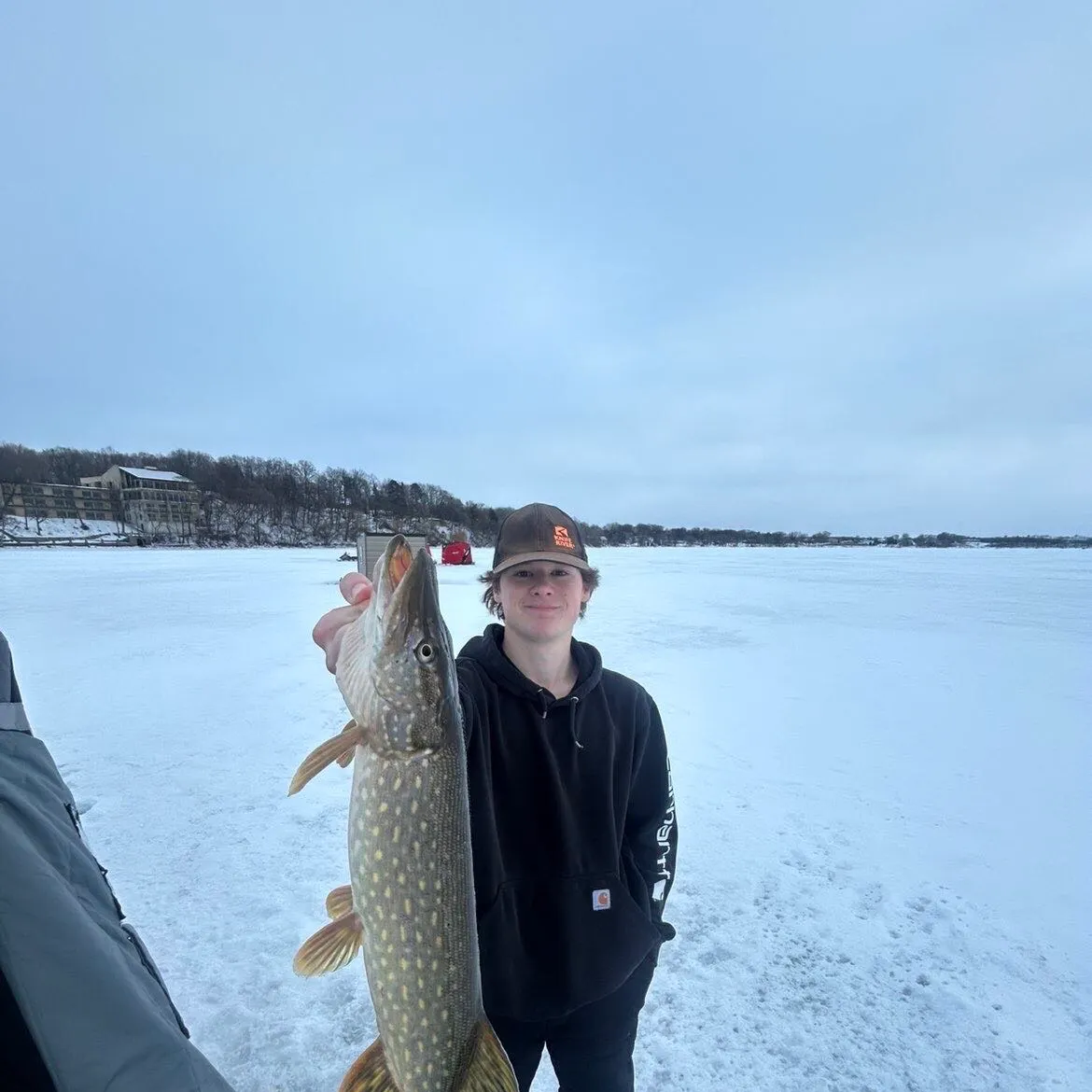 The most recent Northern pike catches on Fishbrain