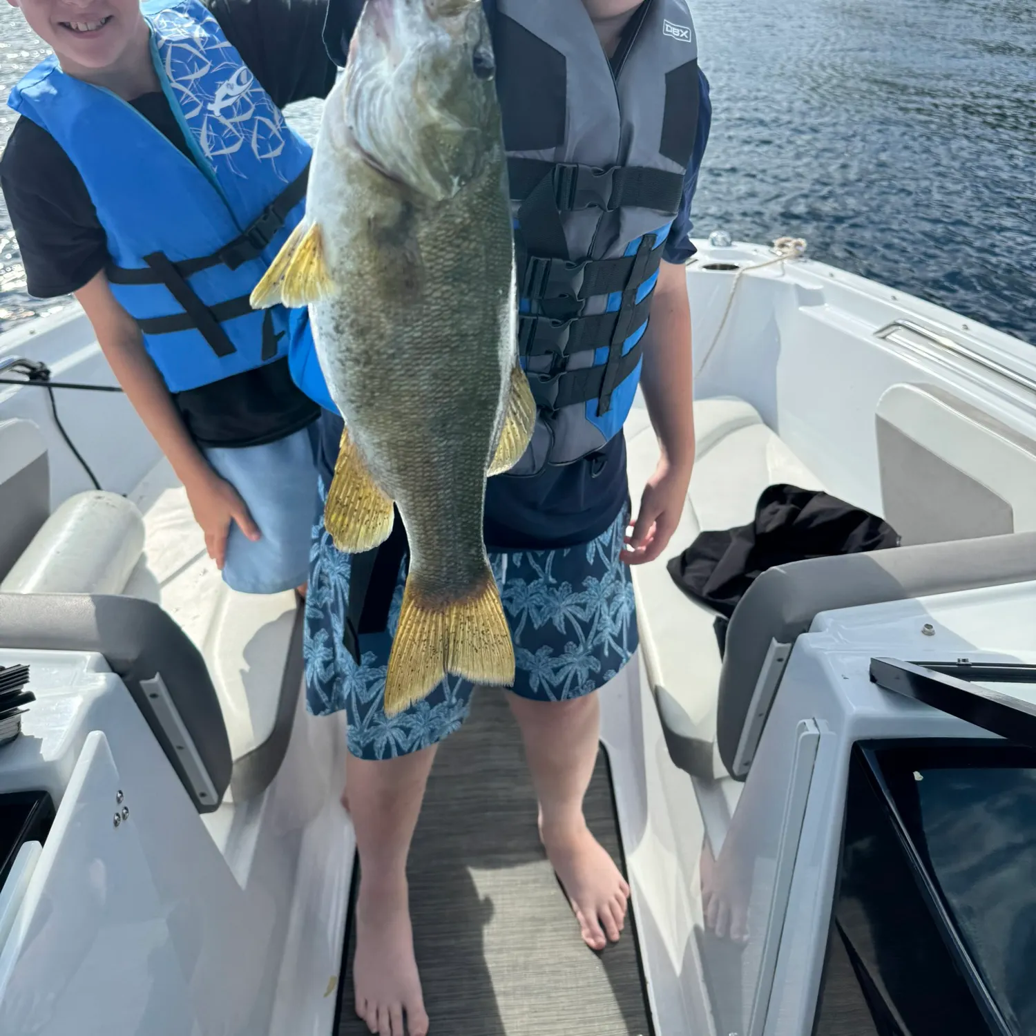 Smallmouth bass caught on Fishbrain