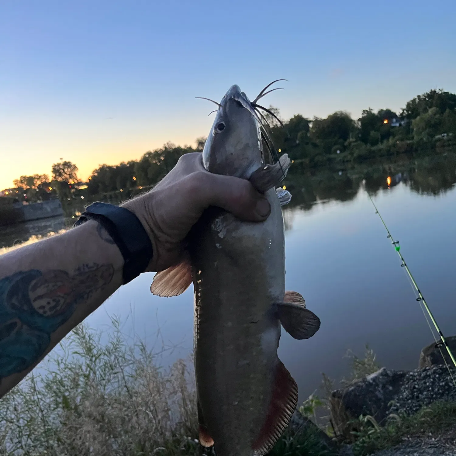 catch