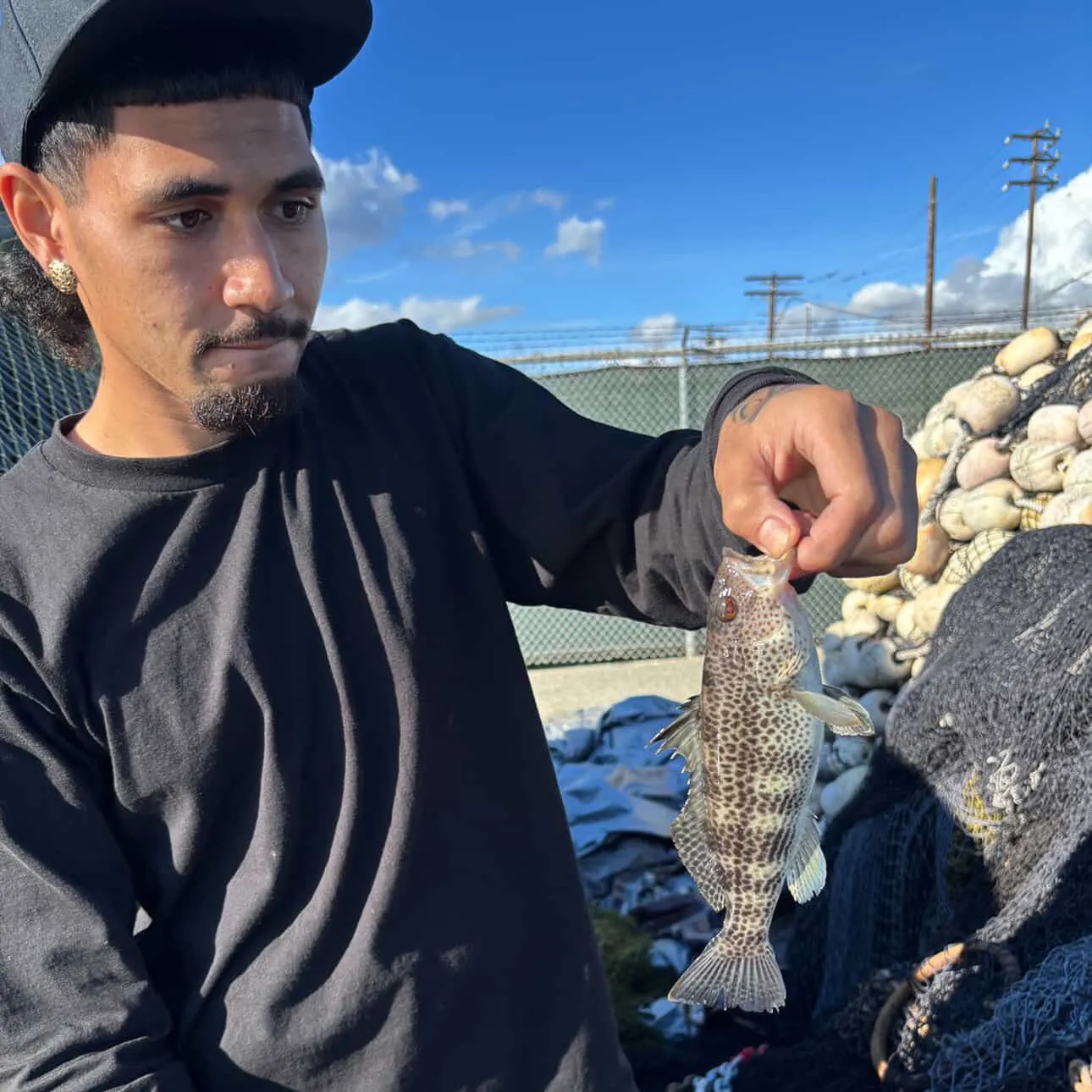 The most recent Spotted sand bass catches on Fishbrain