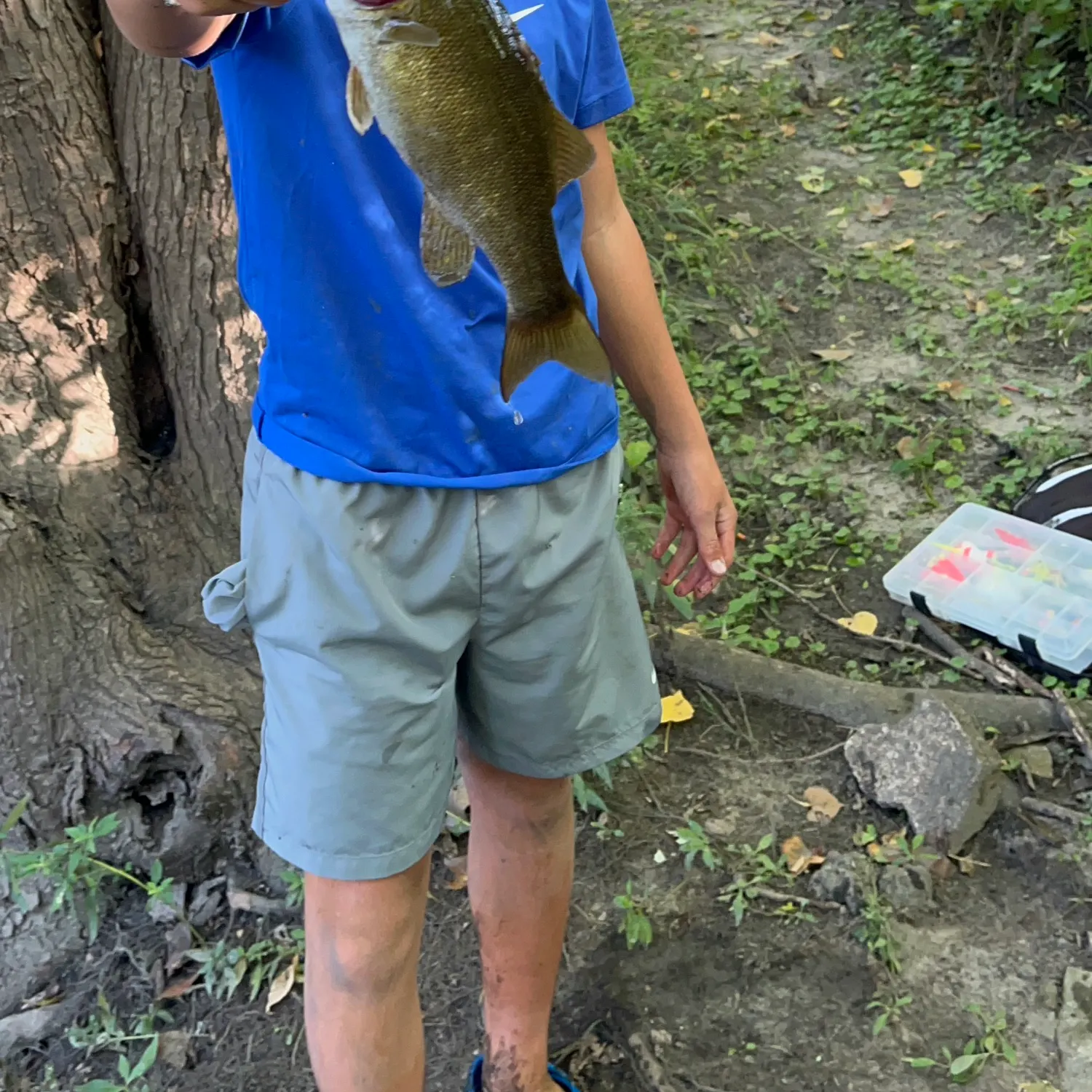 Smallmouth bass caught on Fishbrain