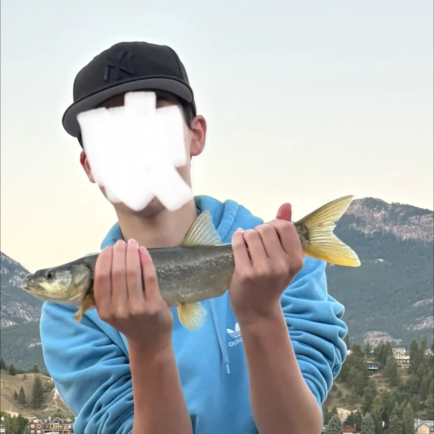 Northern pikeminnow caught on Fishbrain