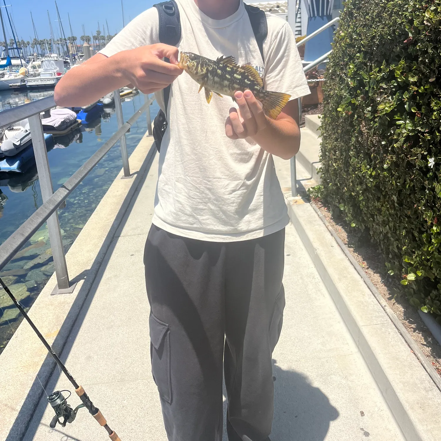 catch