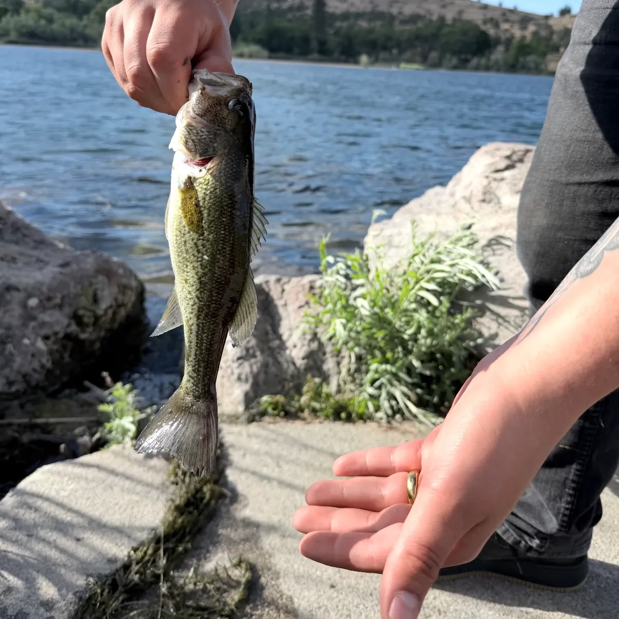 catch
