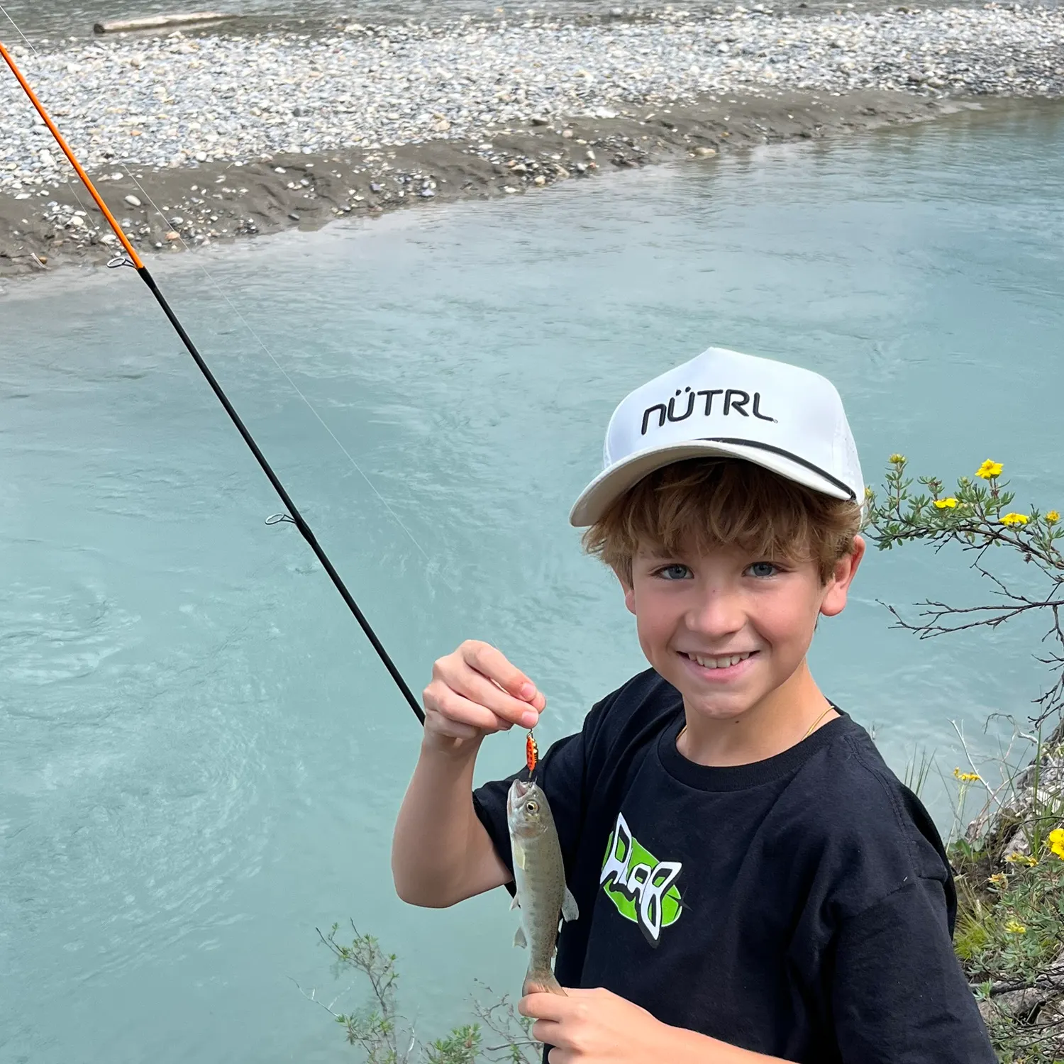 The most recent Dolly varden catches on Fishbrain
