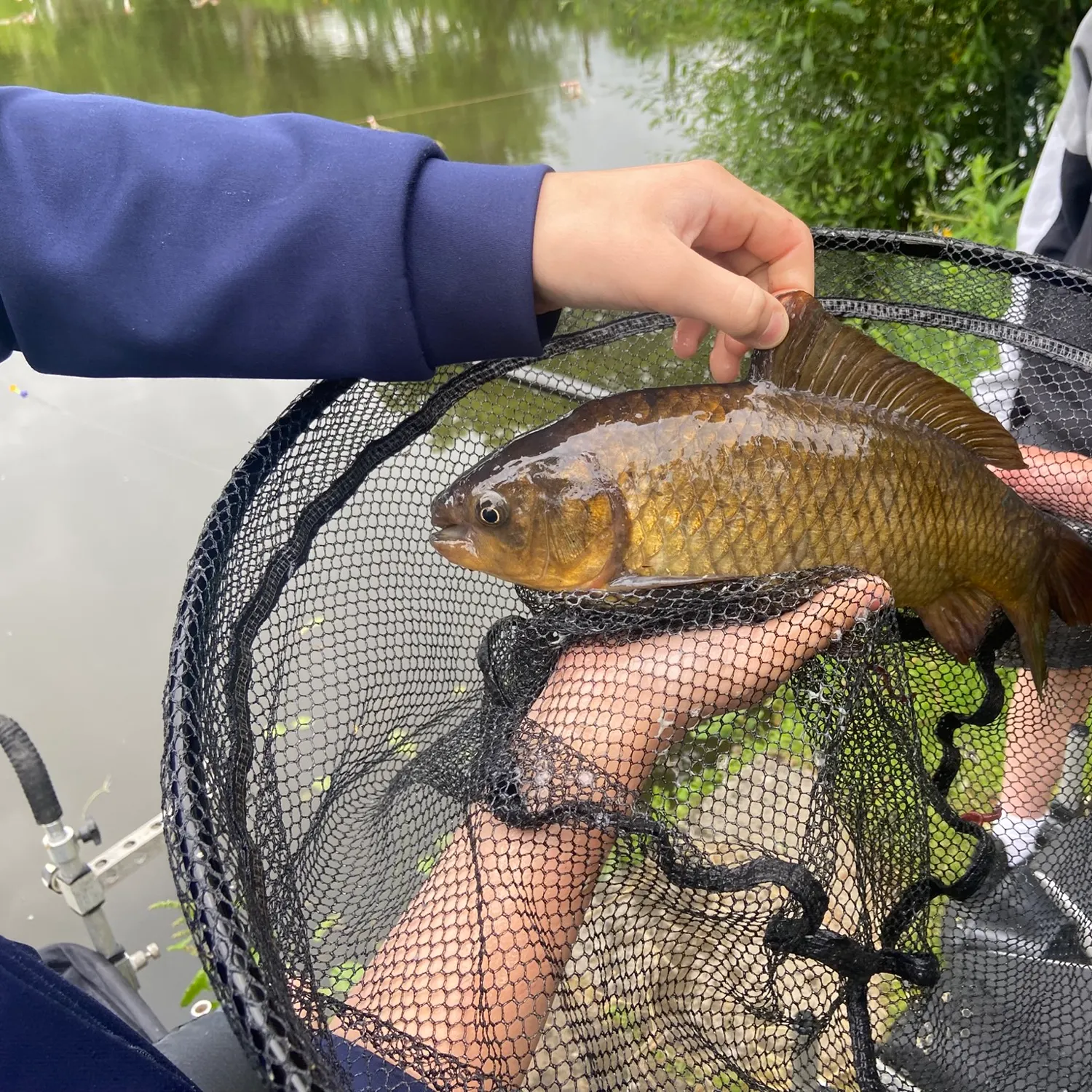 The most recent F1 carp catches on Fishbrain