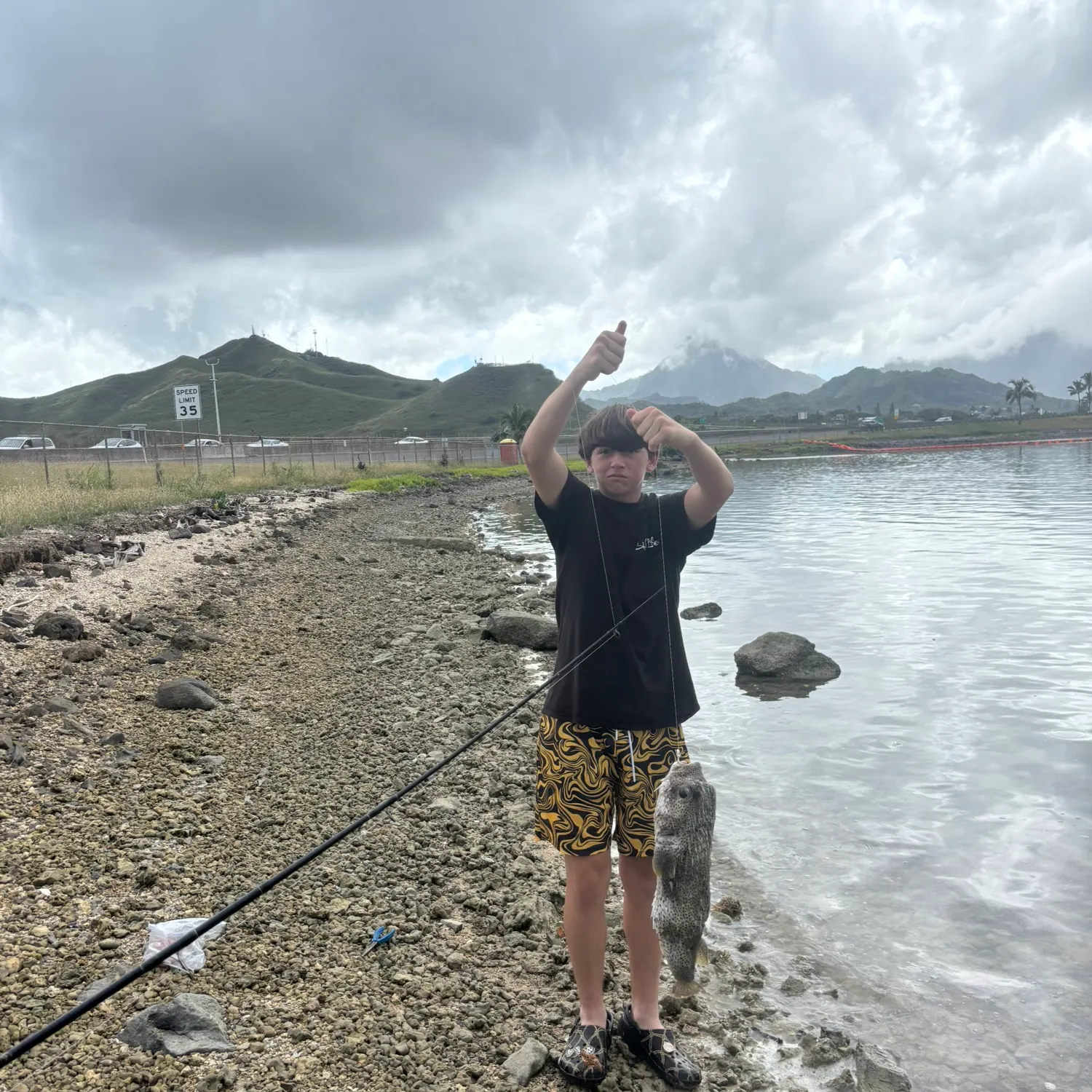 The most recent Japanese pufferfish catches on Fishbrain