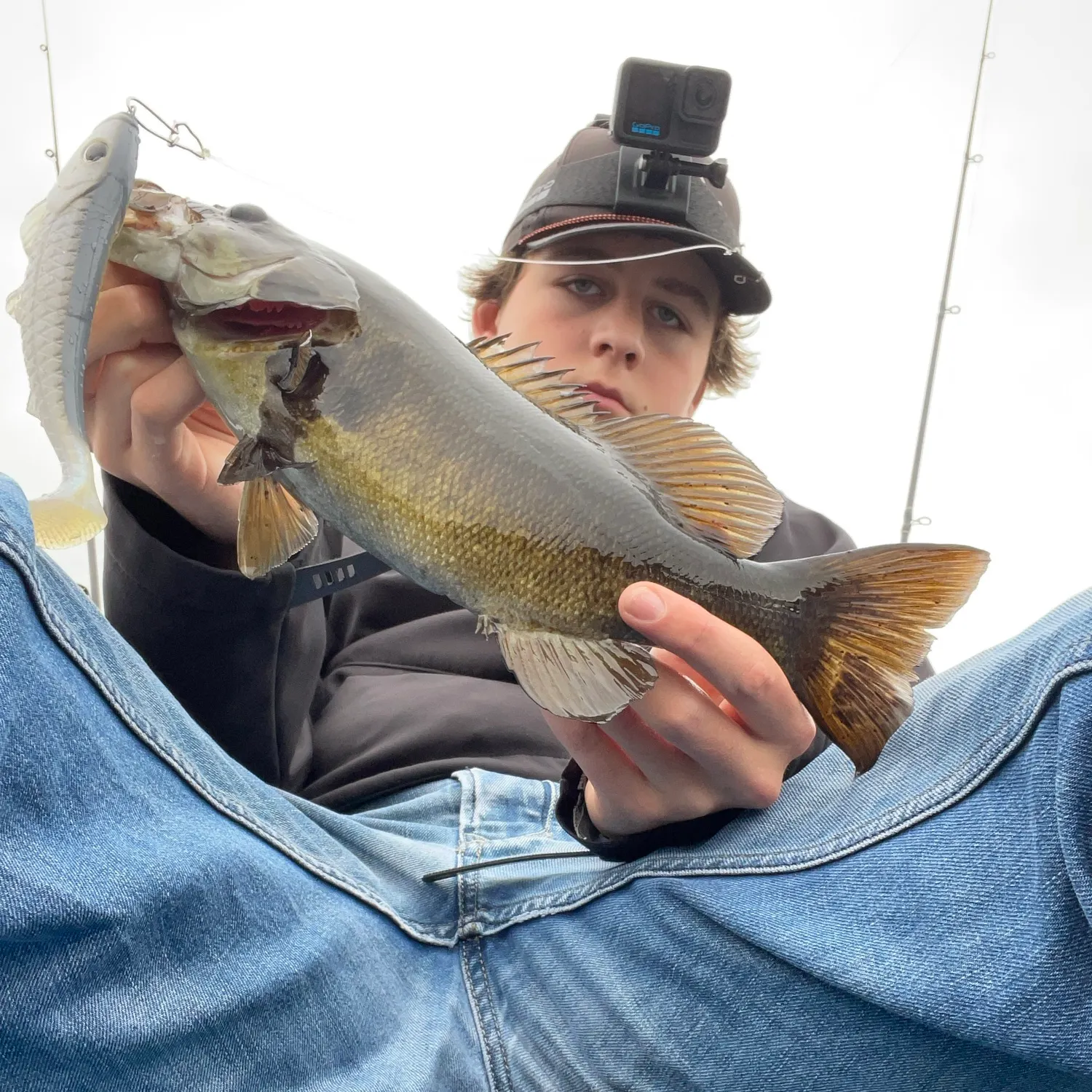 Smallmouth bass caught on Fishbrain