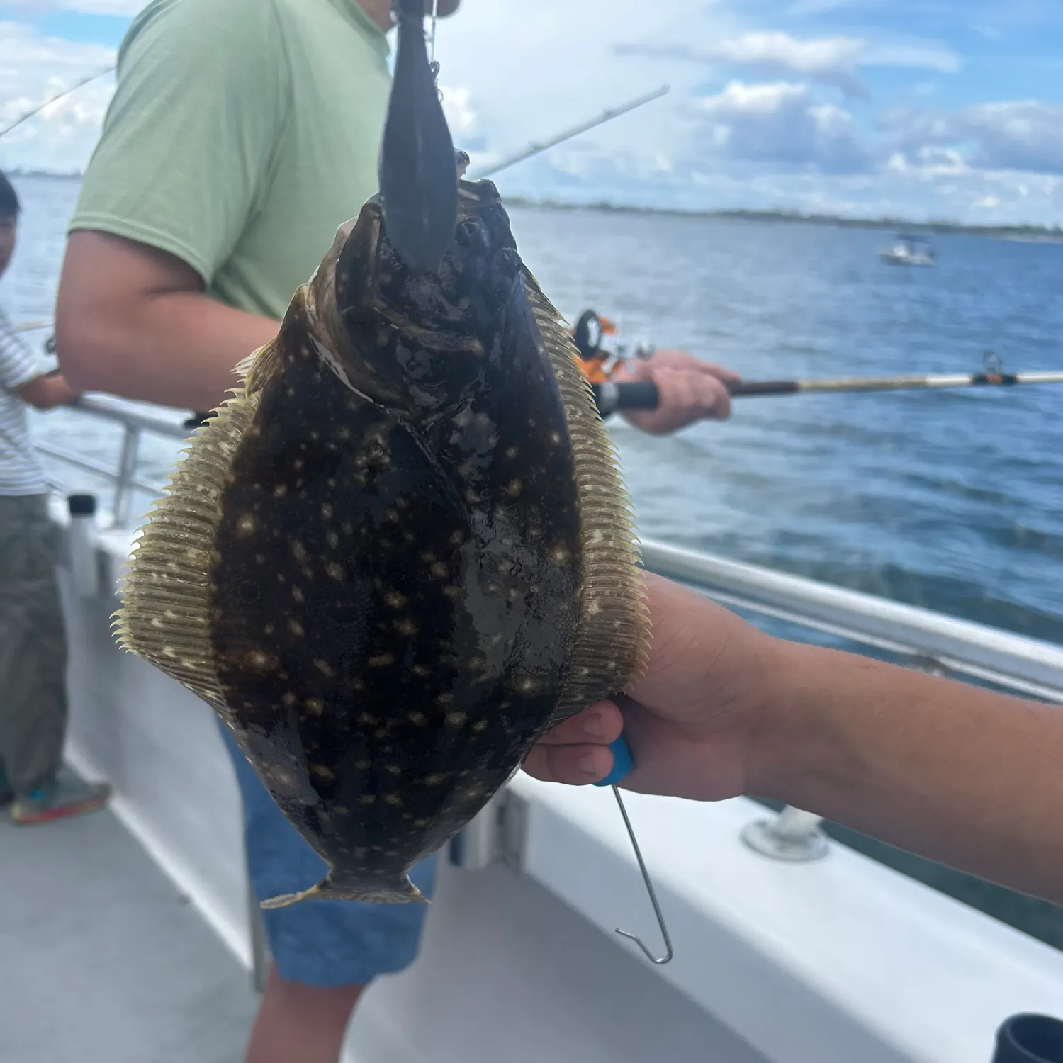 Summer flounder caught on Fishbrain