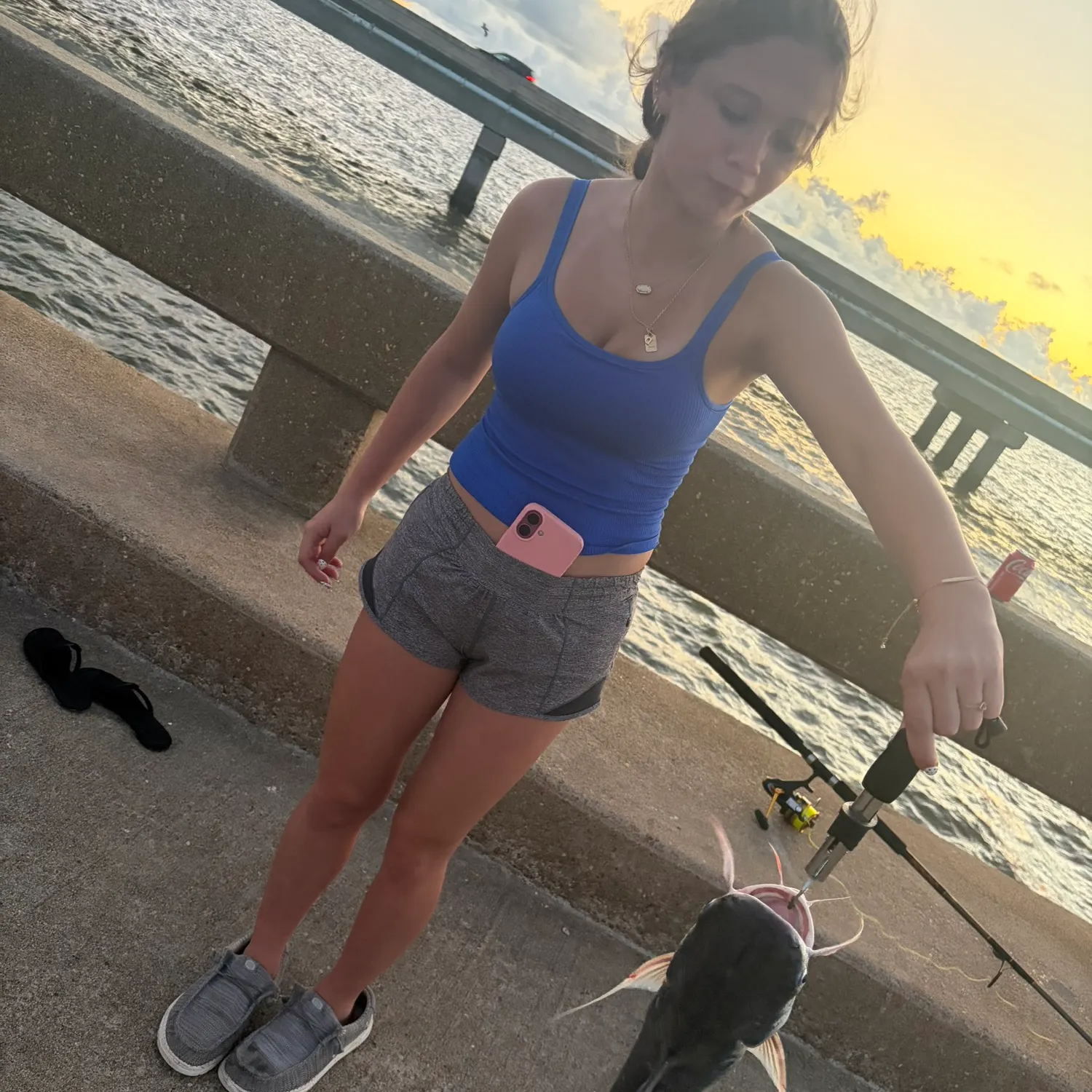Gafftopsail sea catfish caught on Fishbrain