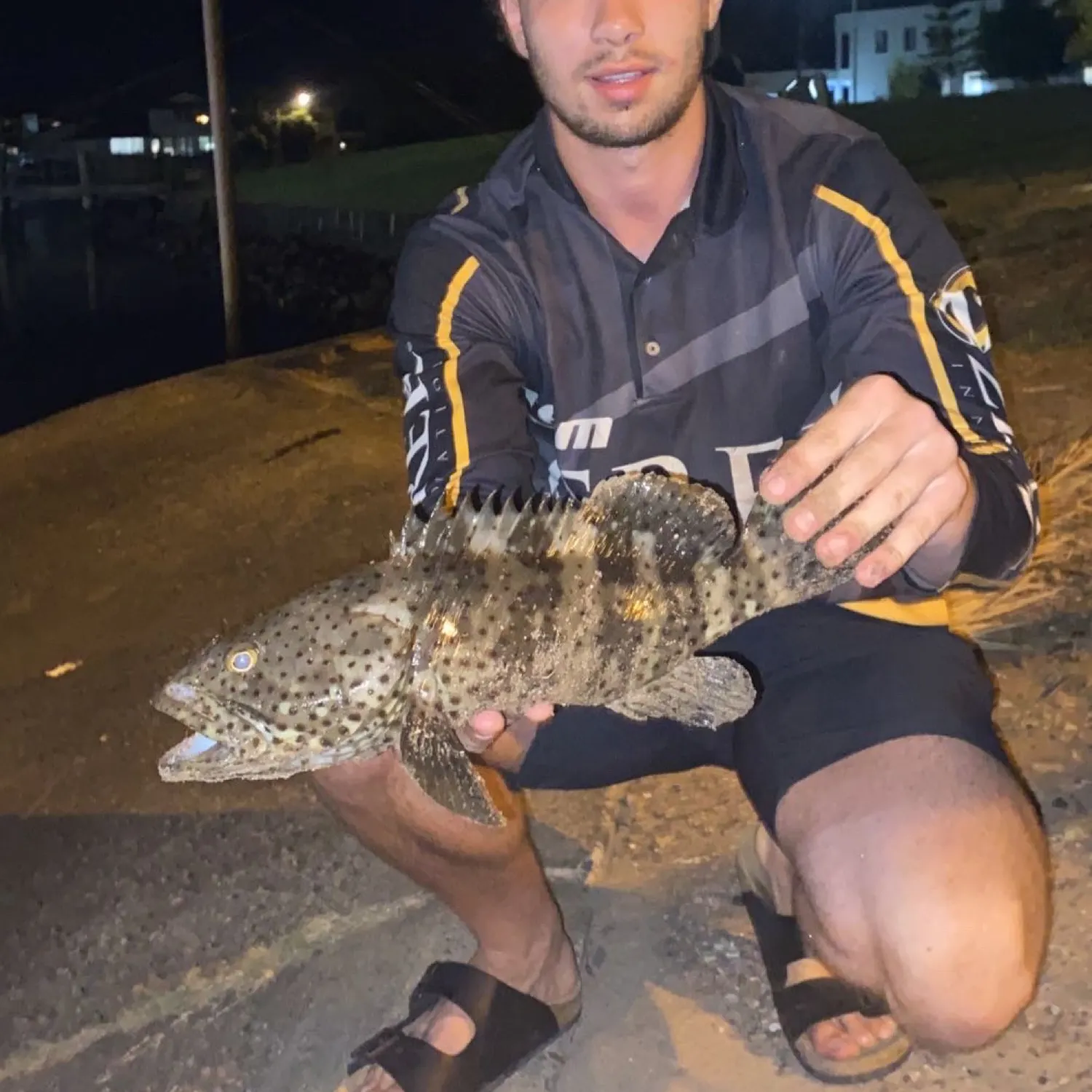 The most popular recent Malabar grouper catch on Fishbrain