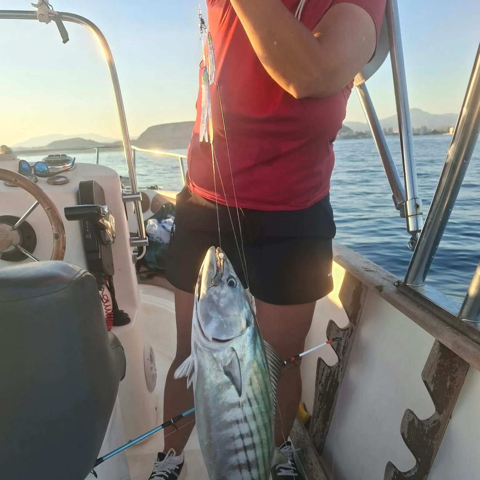 The most recent Eastern Pacific bonito catches on Fishbrain