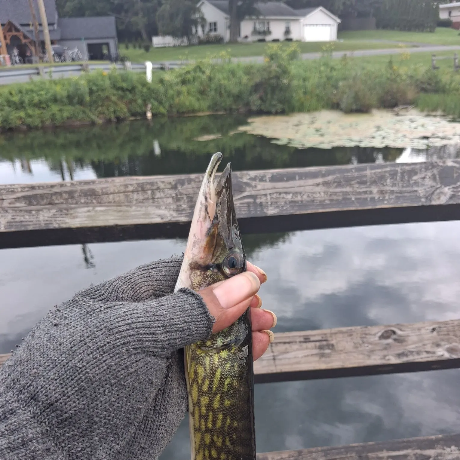 catch