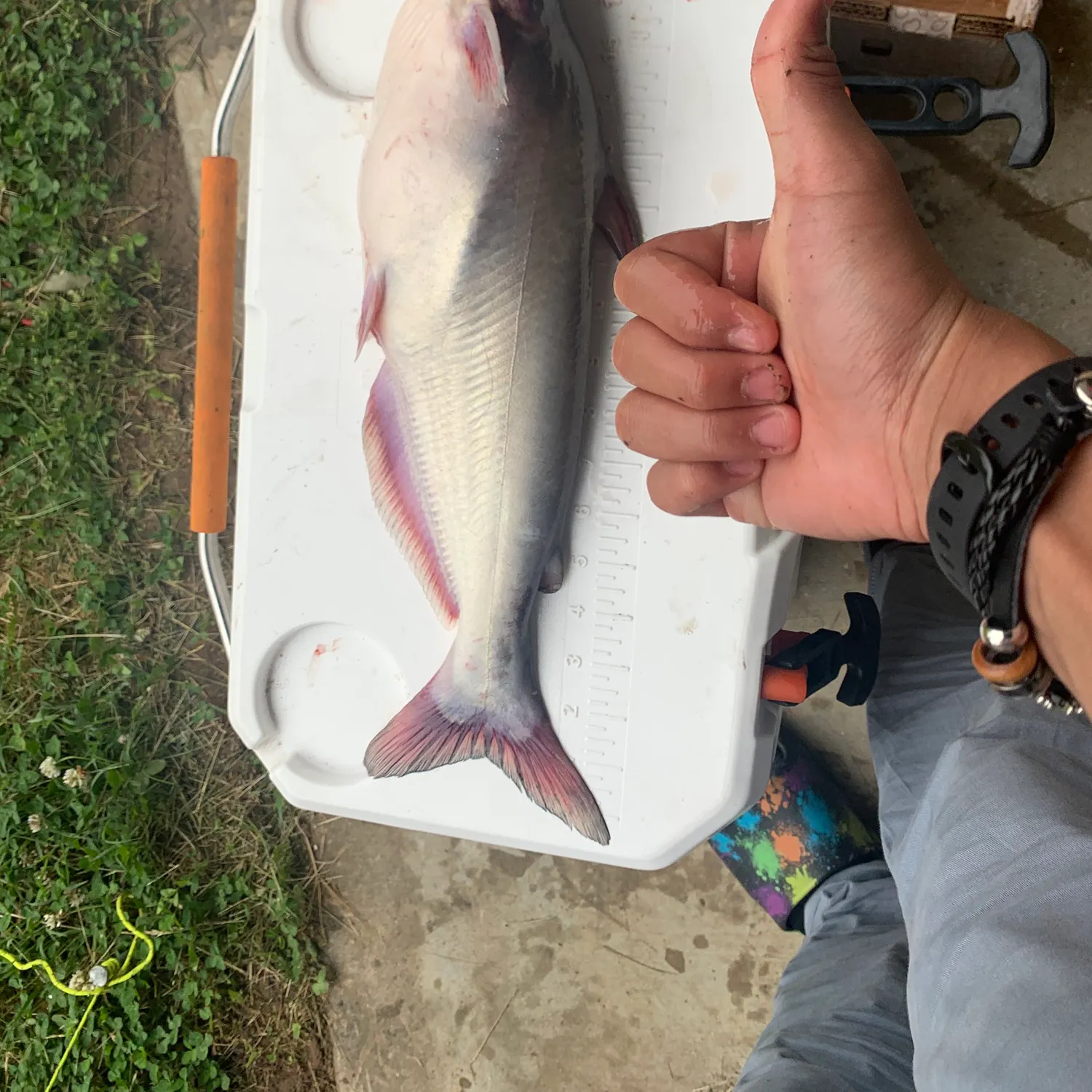 catch