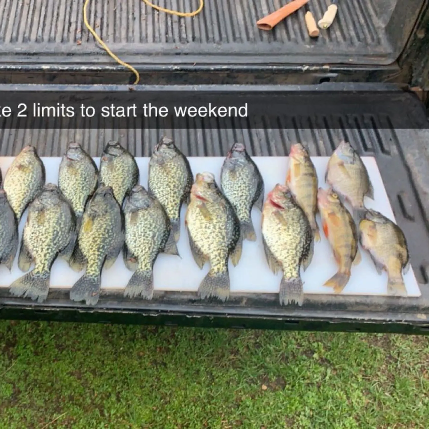 recently logged catches