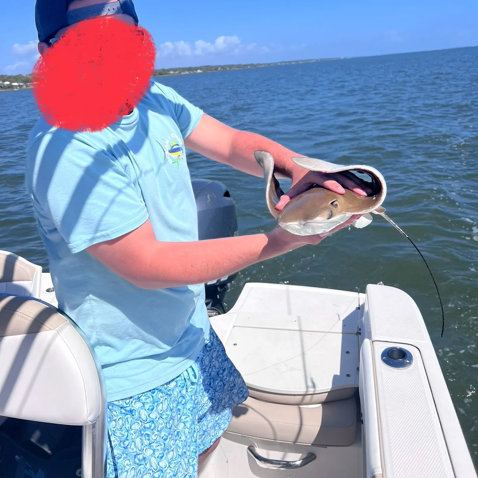 The most recent Cownose Ray catches on Fishbrain
