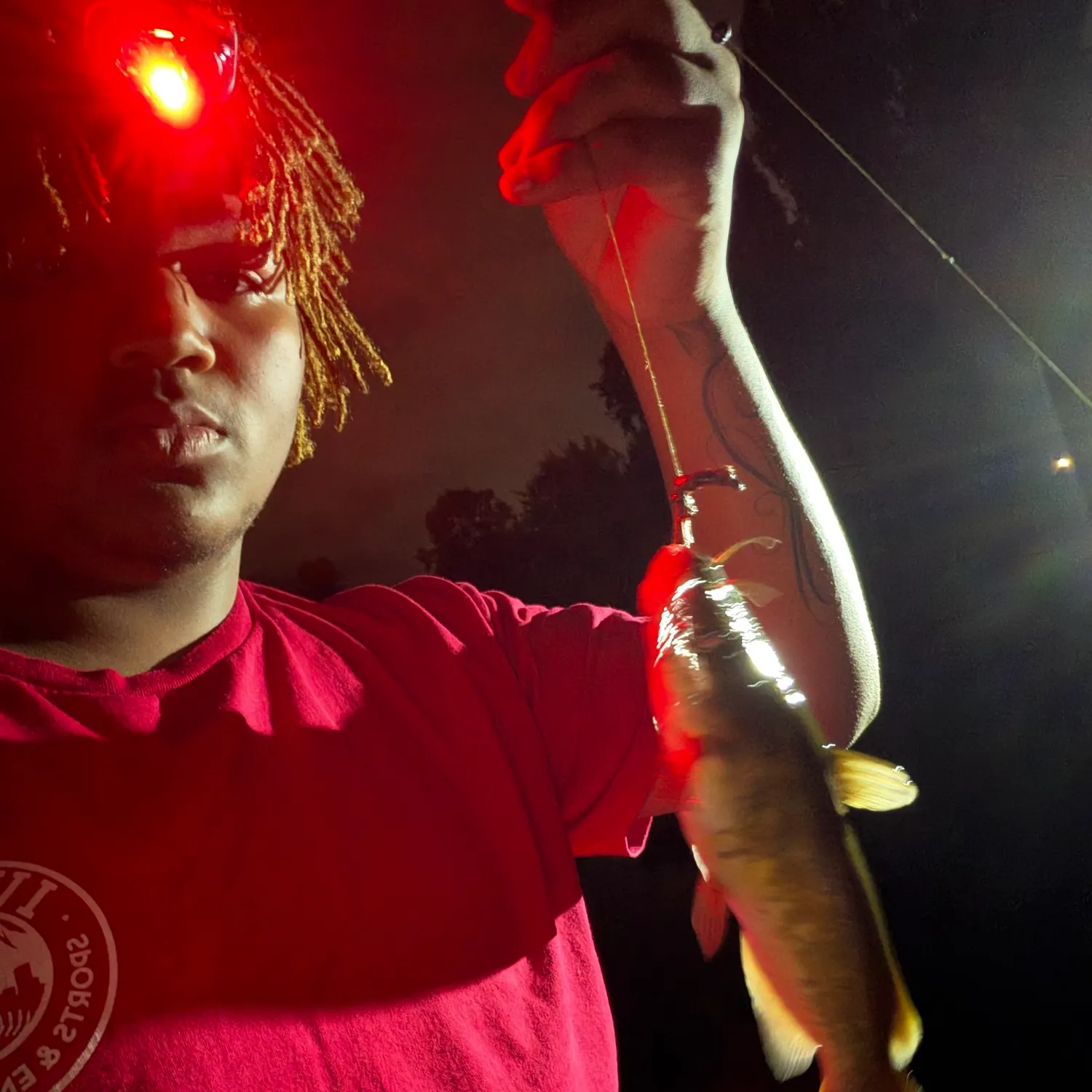 Brown bullhead caught on Fishbrain