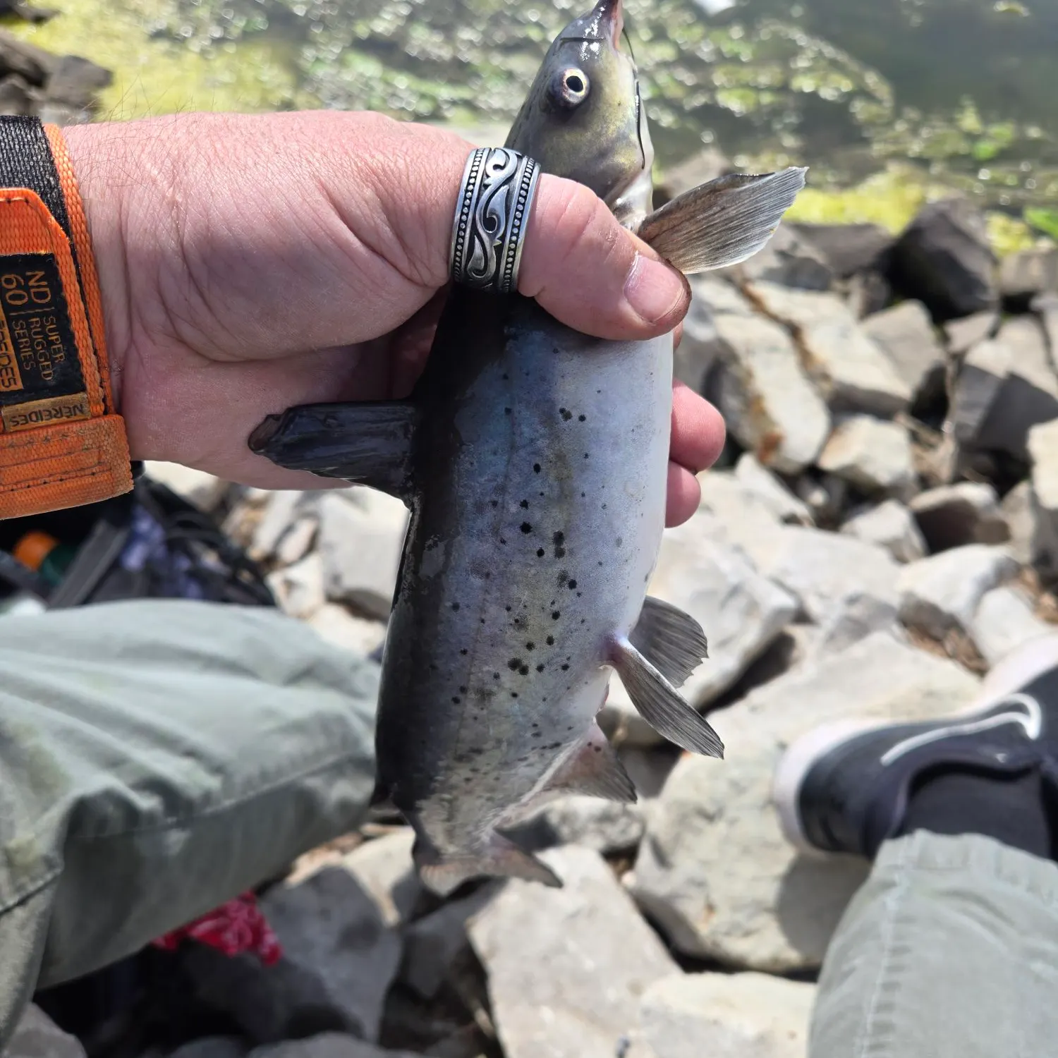 catch
