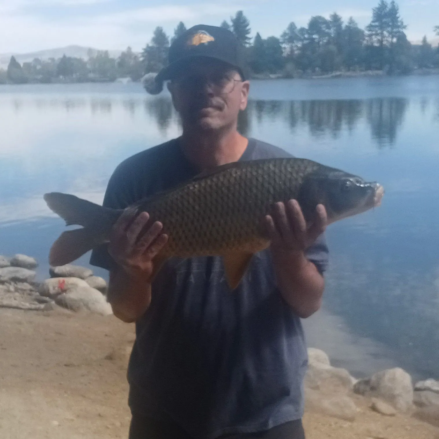 Common carp caught on Fishbrain