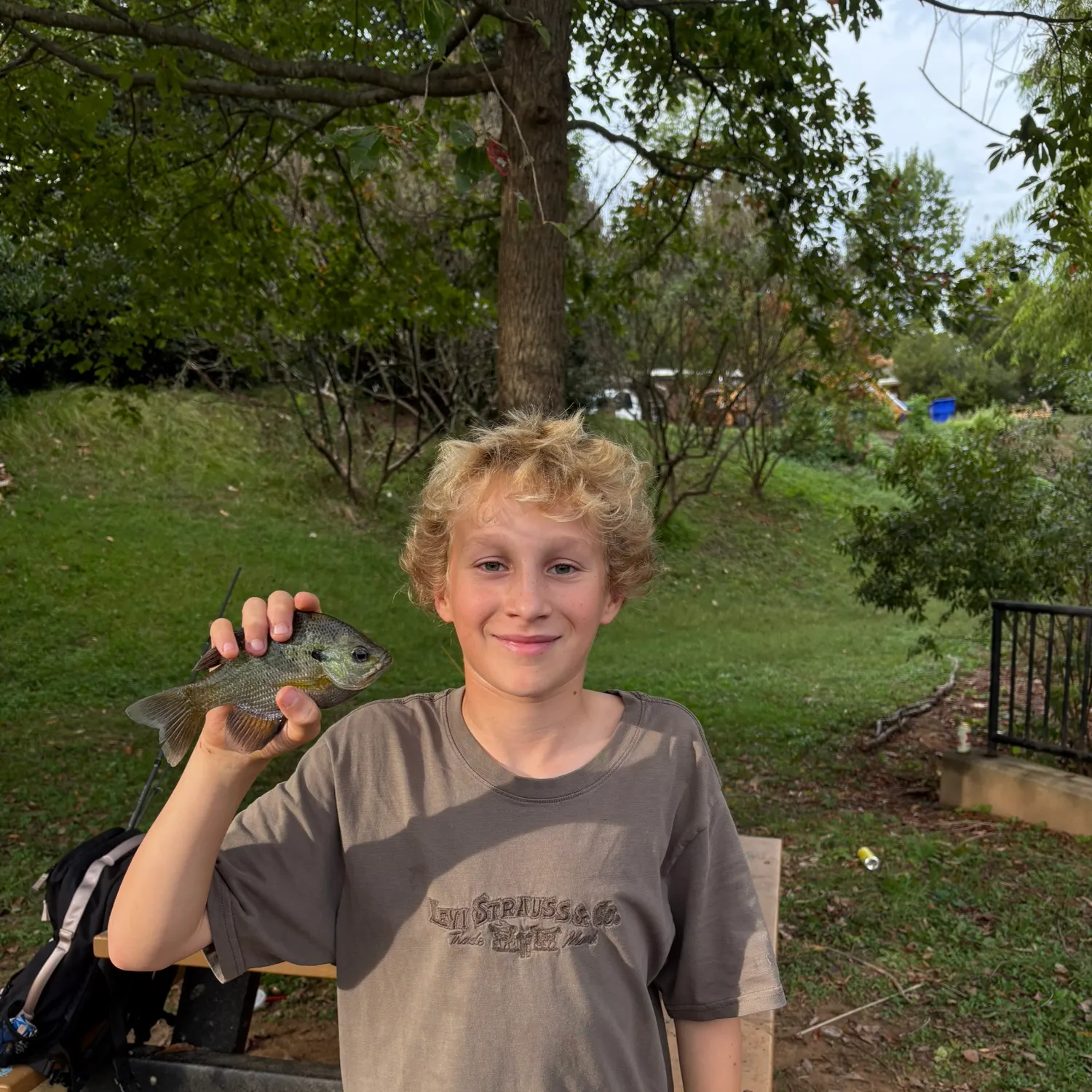 Bluegill caught on Fishbrain