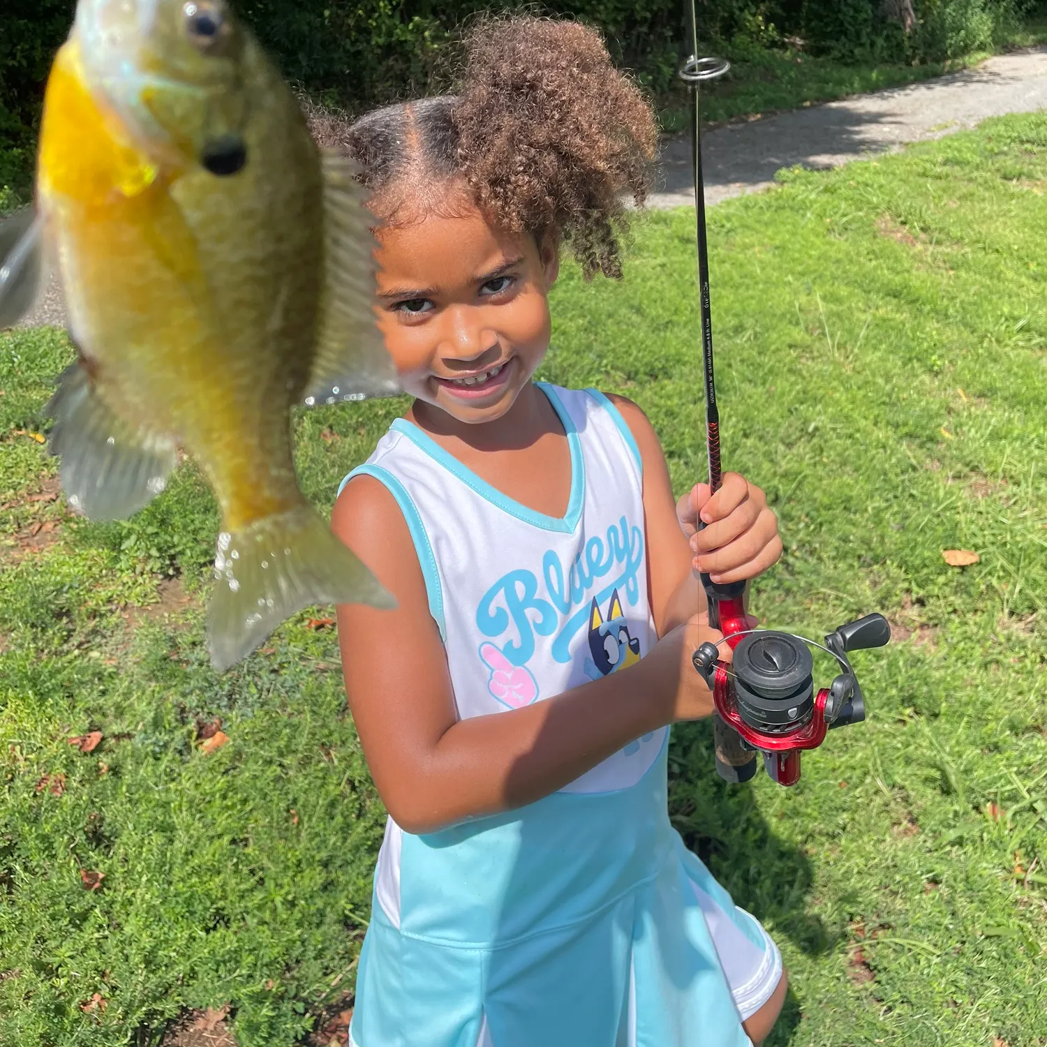 Bluegill caught on Fishbrain
