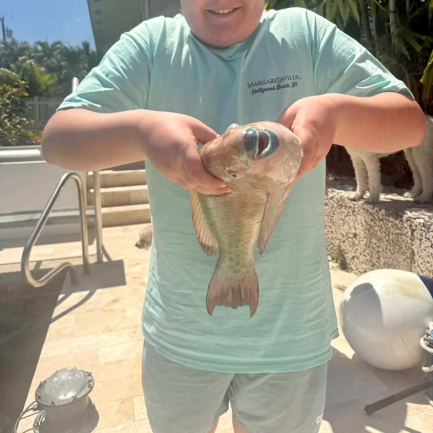 The most recent Bridled parrotfish catches on Fishbrain